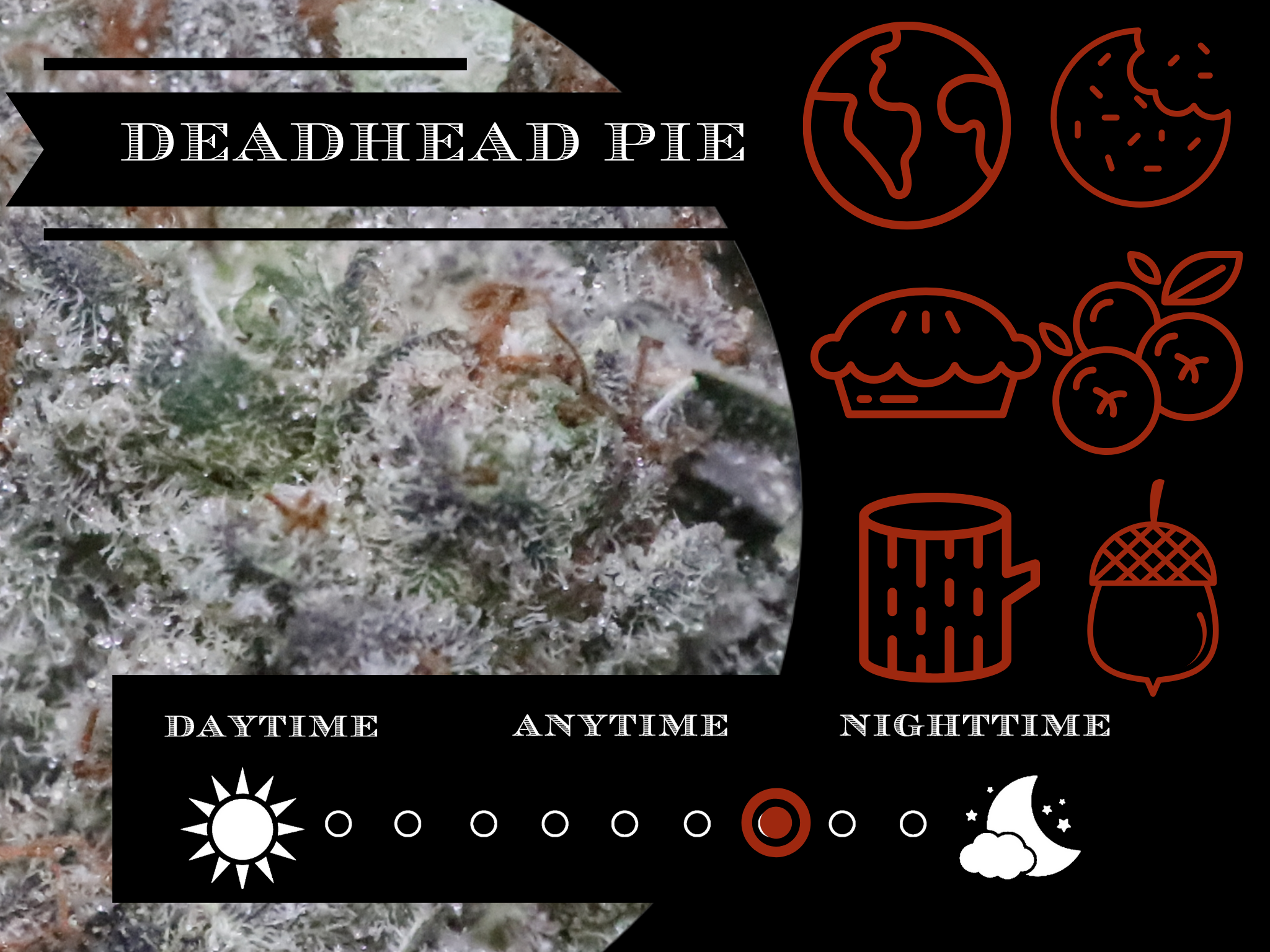 Deadhead Pie view 2