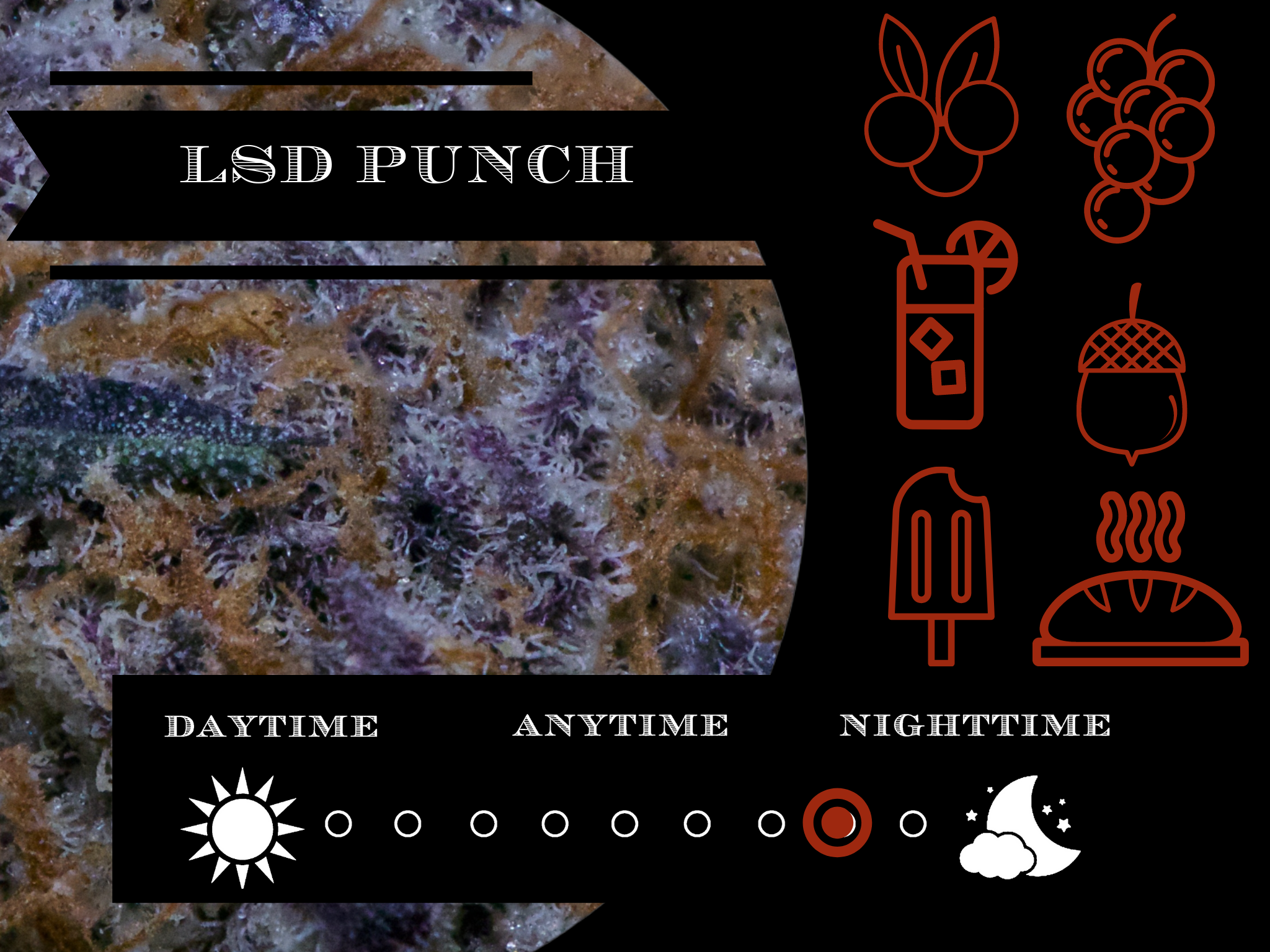 Lsd Punch 27.2% view 2