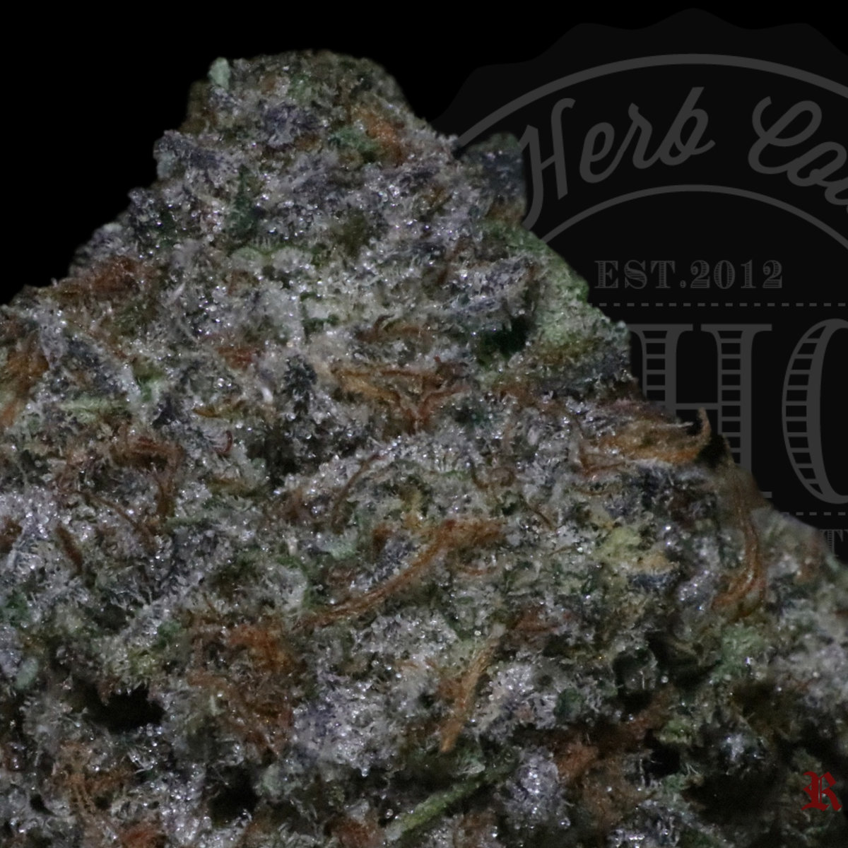 Gelato Cake 28.2%