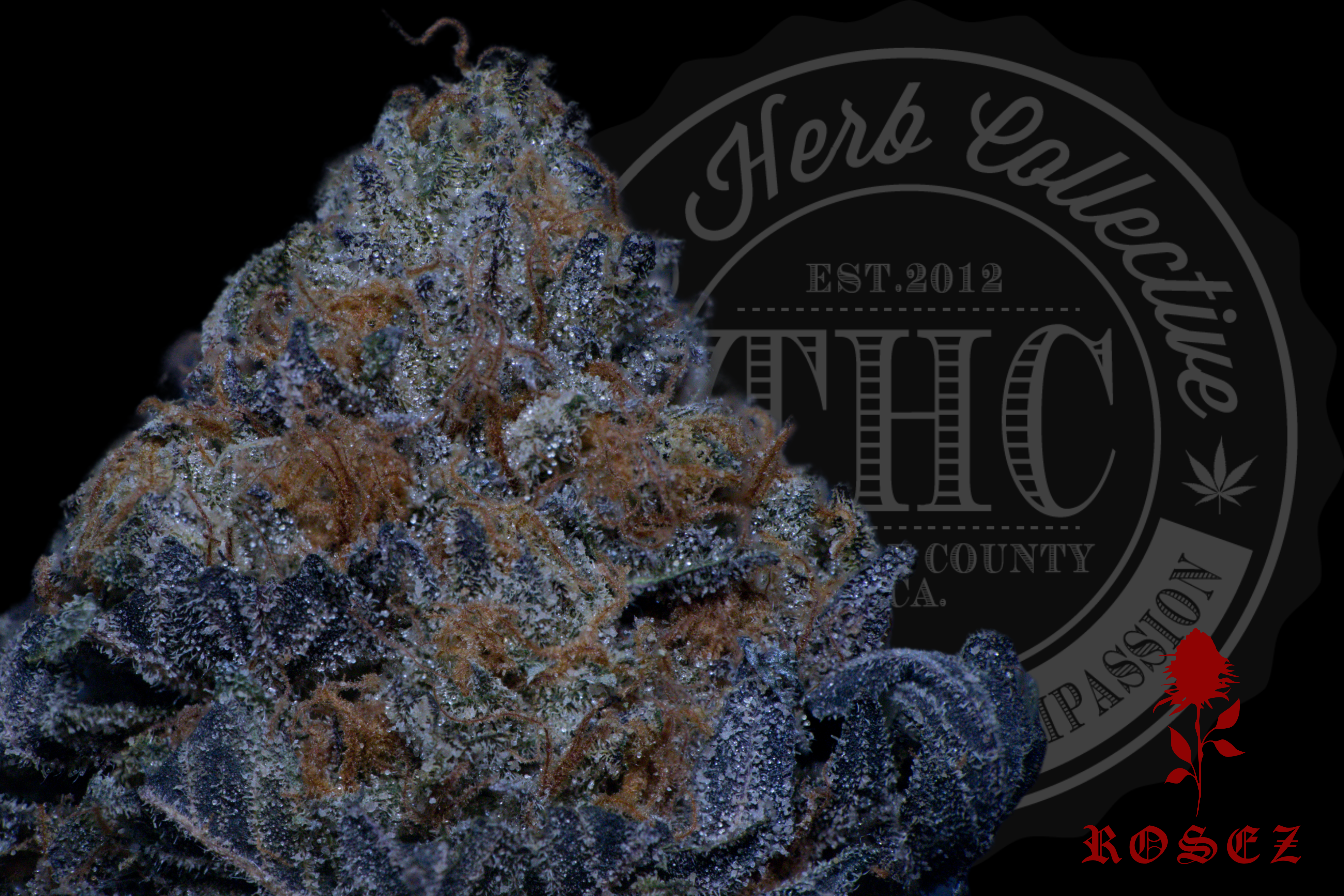Indoor — Rosez Co.
