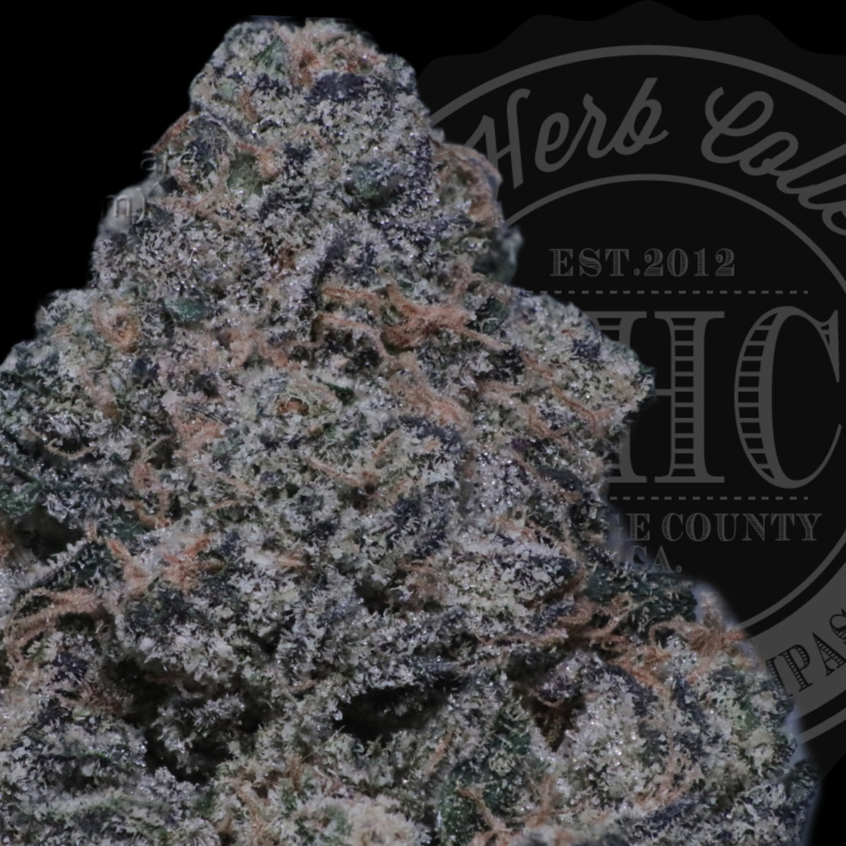 Ube Creme 35.2%