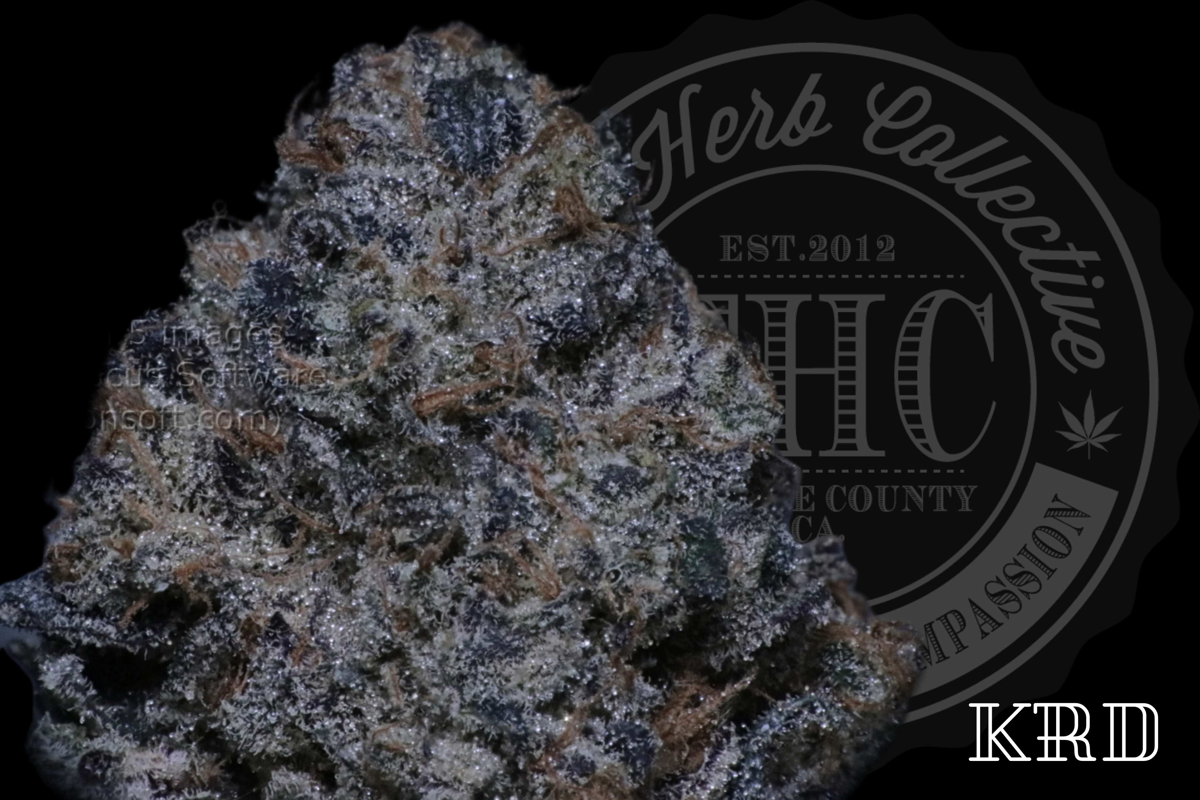 Sour Facemelt Kush 34.1 %
