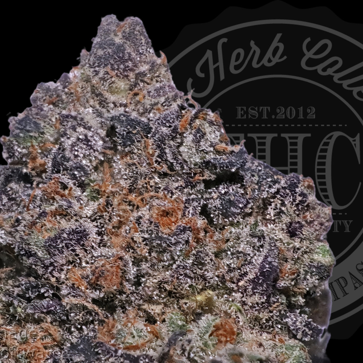 Astro Mints 35.8%
