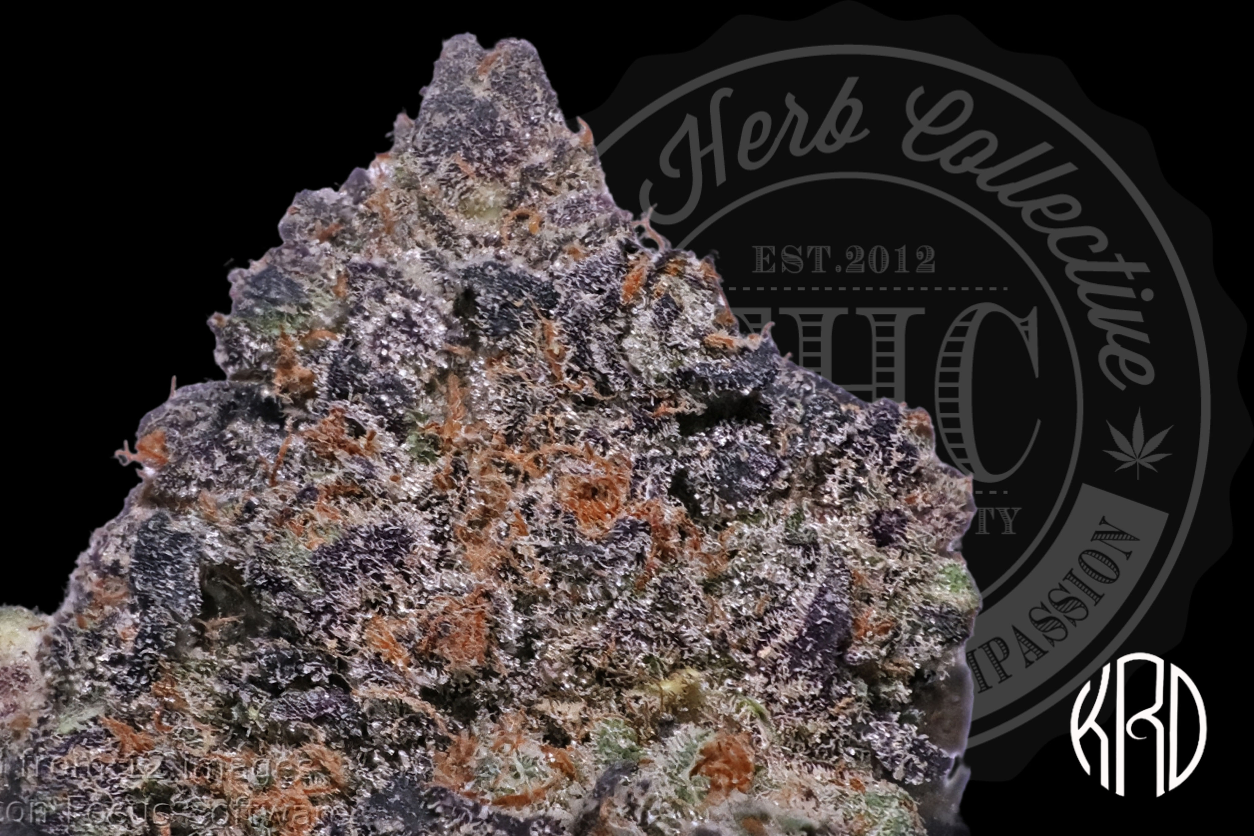 ASTRO MINTS 35.8% | INDOOR SHELF | KRD