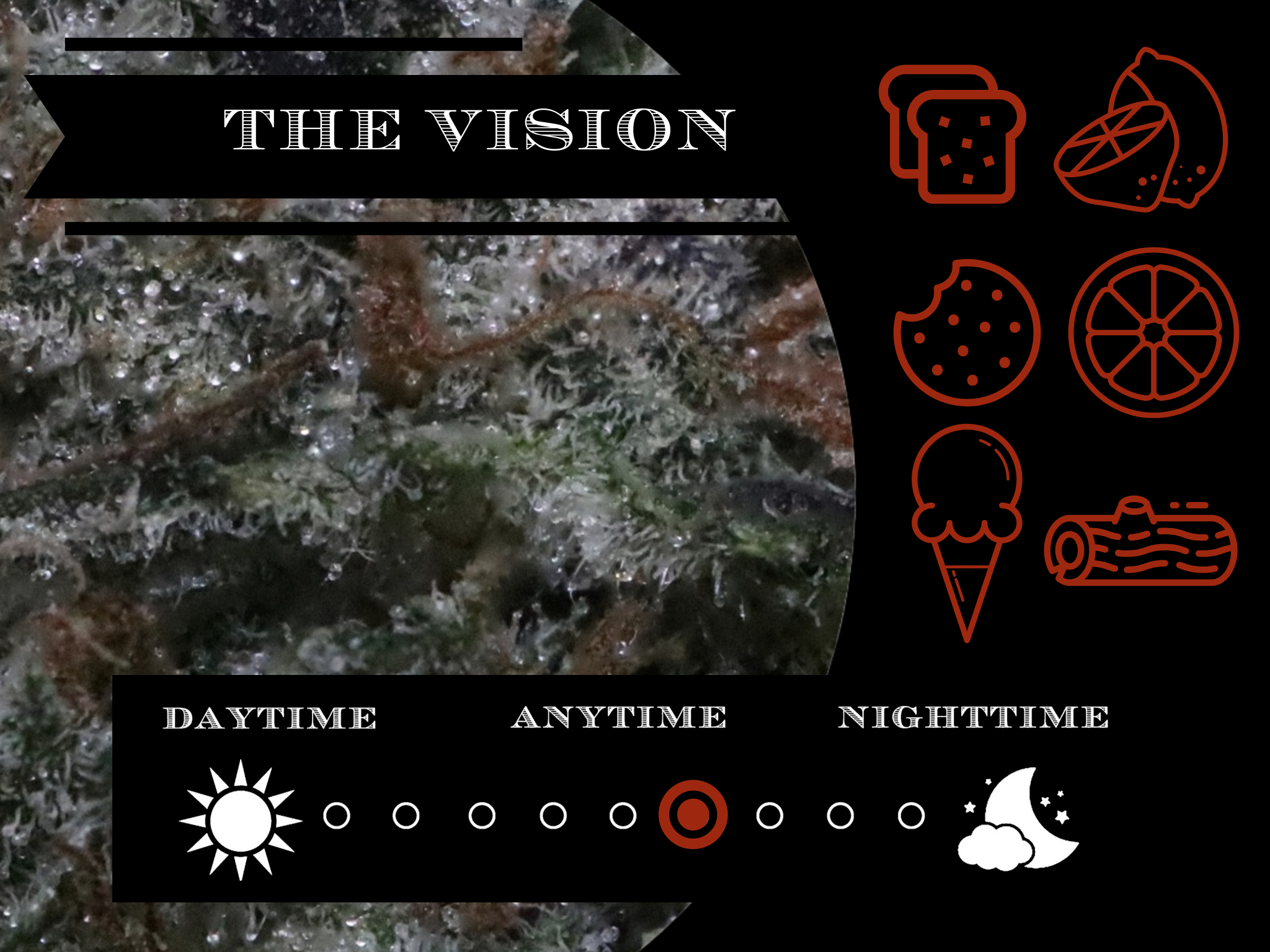 The Vision 24.6% view 2