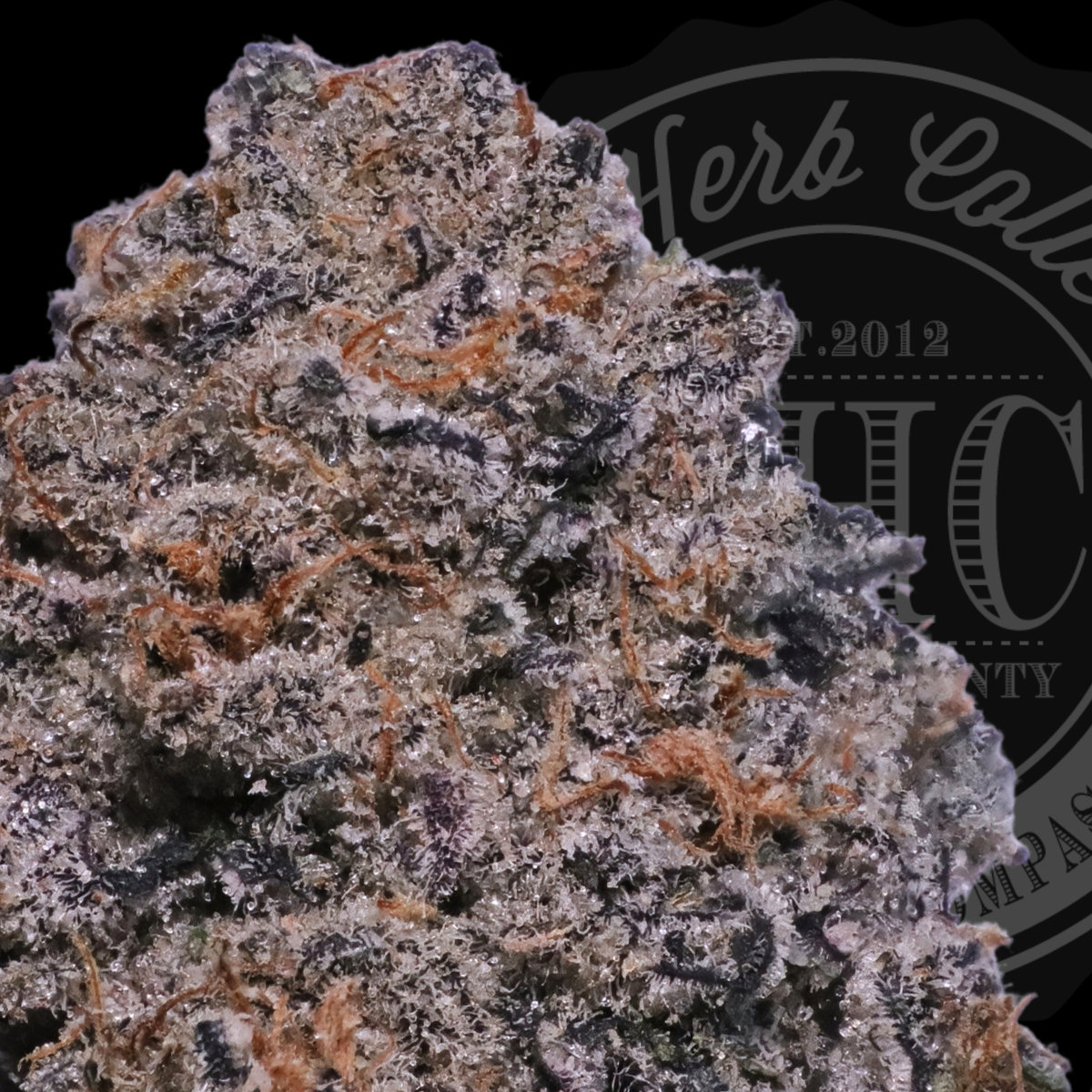 Pink Guava 2.0 36.8%