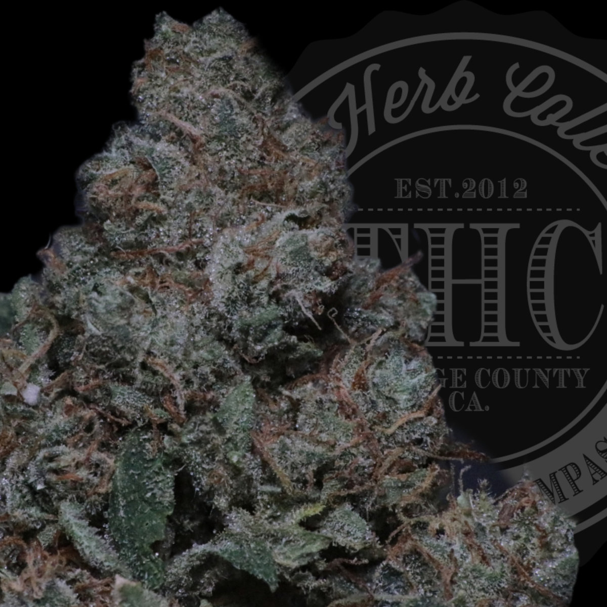 O.G. Playboy 31.6%