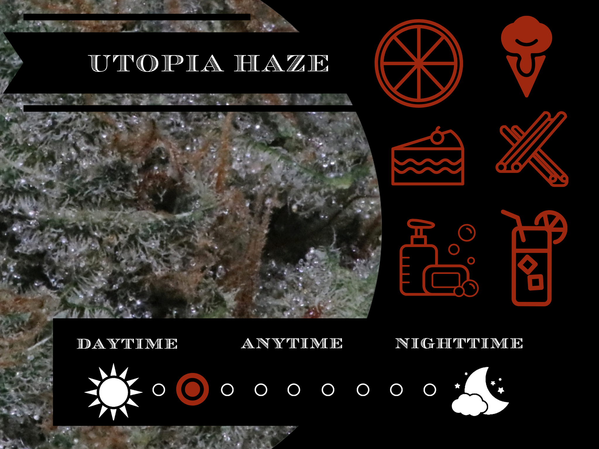 Utopia Haze 26.7% view 2