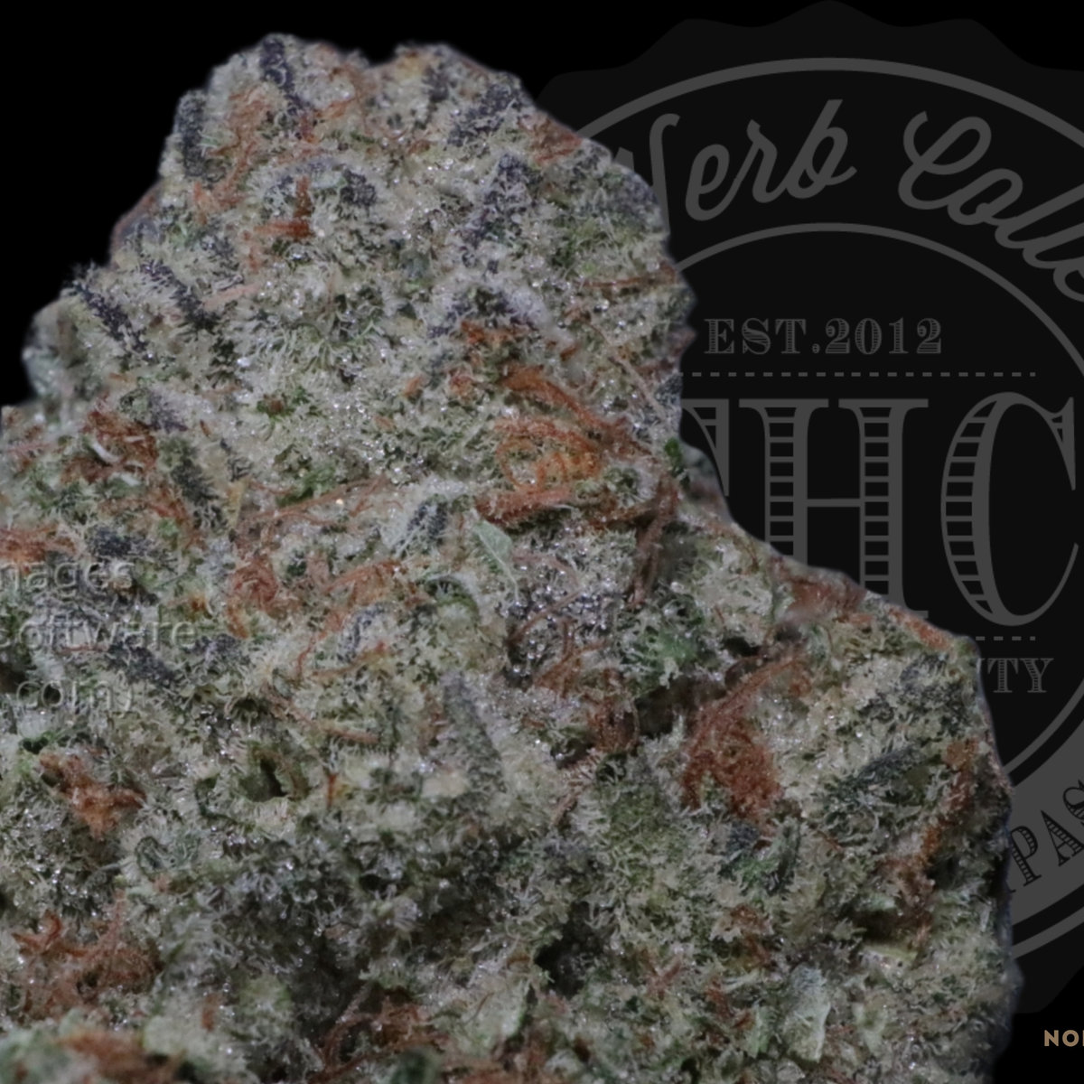 Wtf OG 36.2%