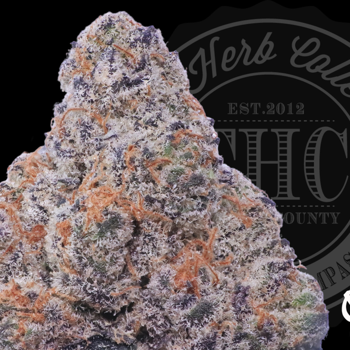 Butterberry 32.8%