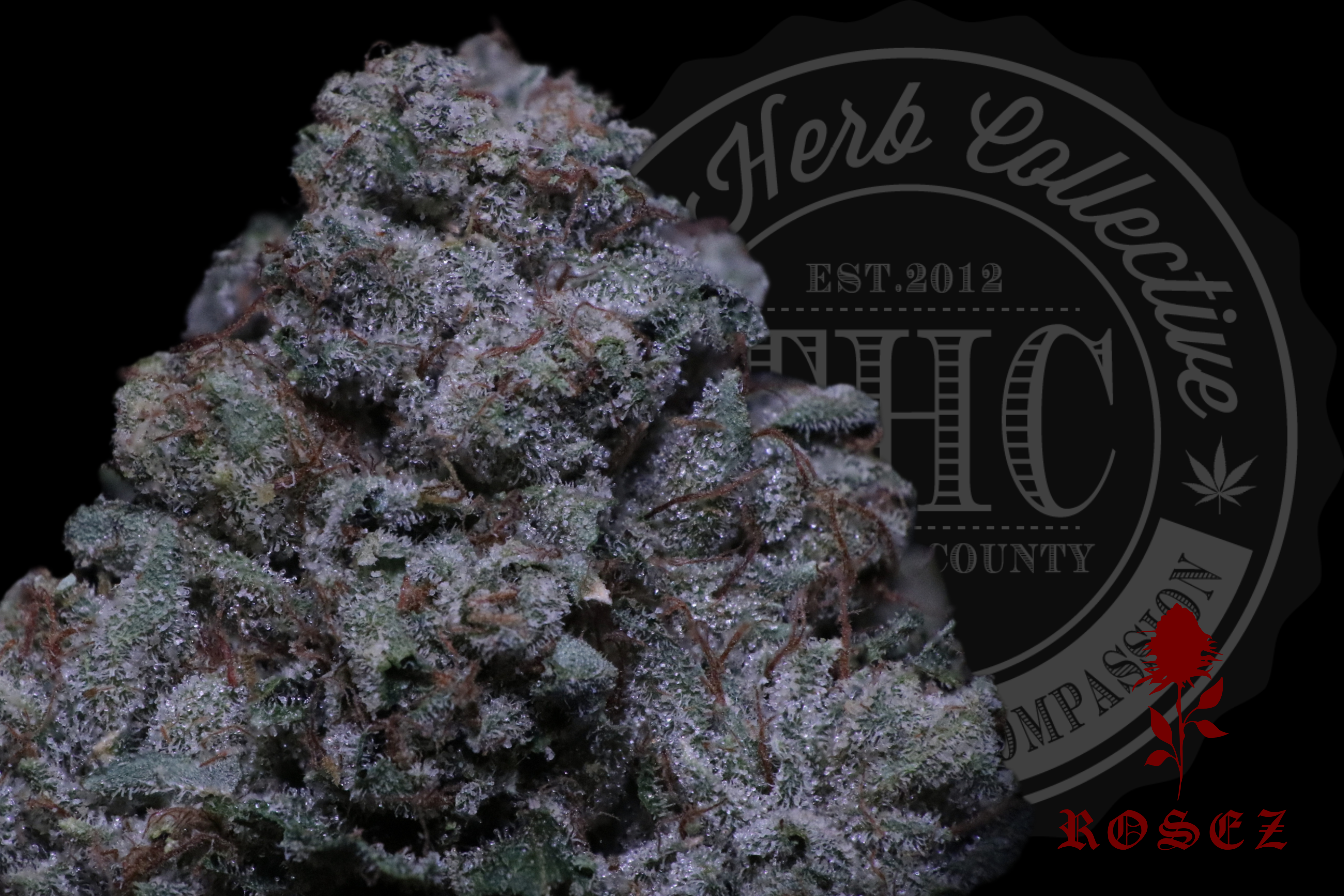 Precious OG 26.6%
