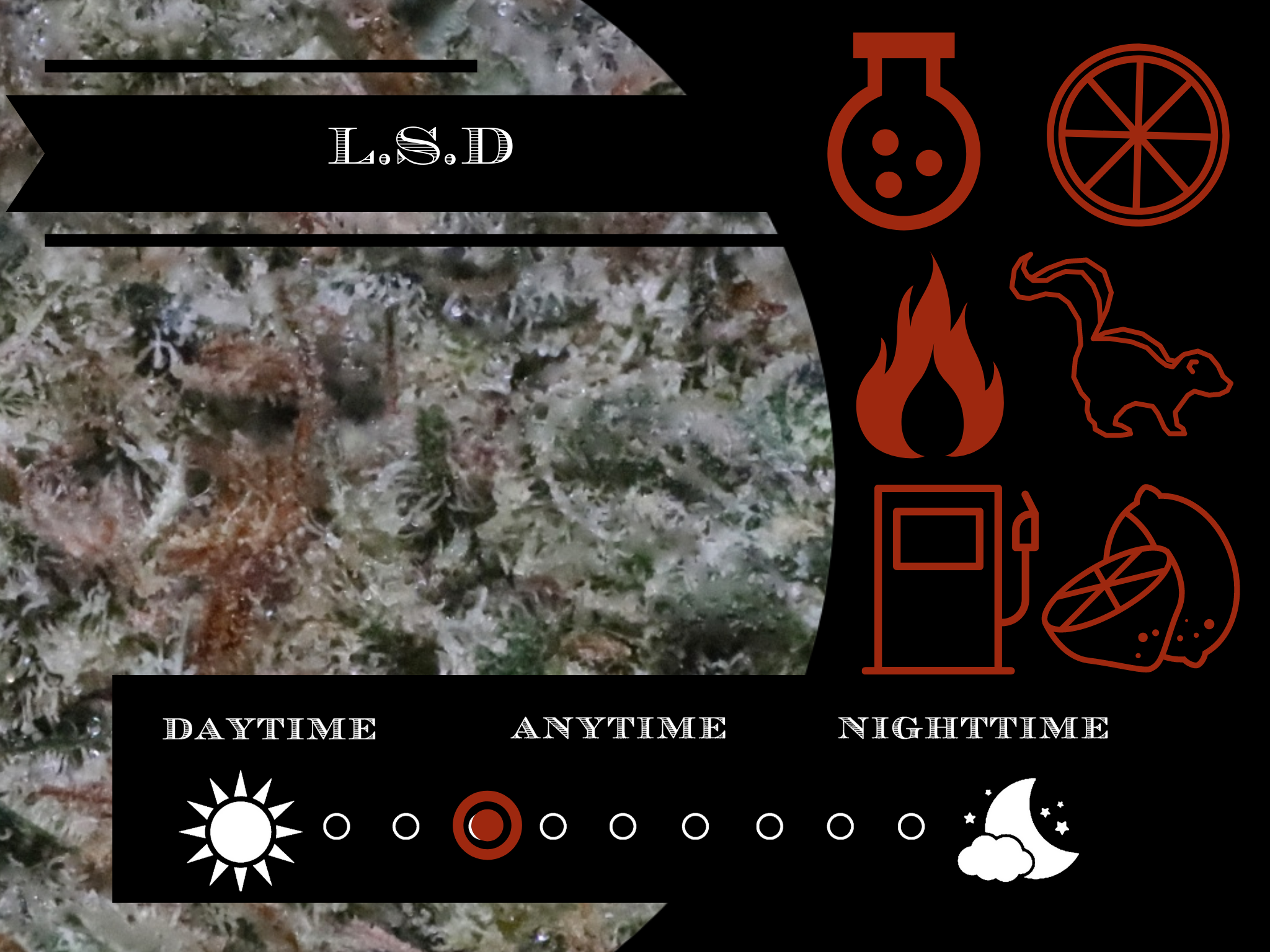 LSD 27.8% view 2