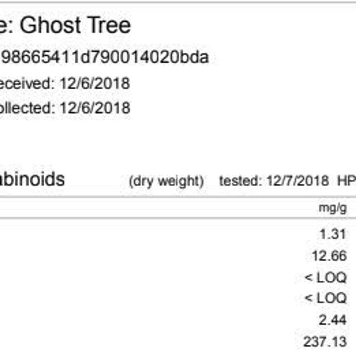 Ghost Tree view 2