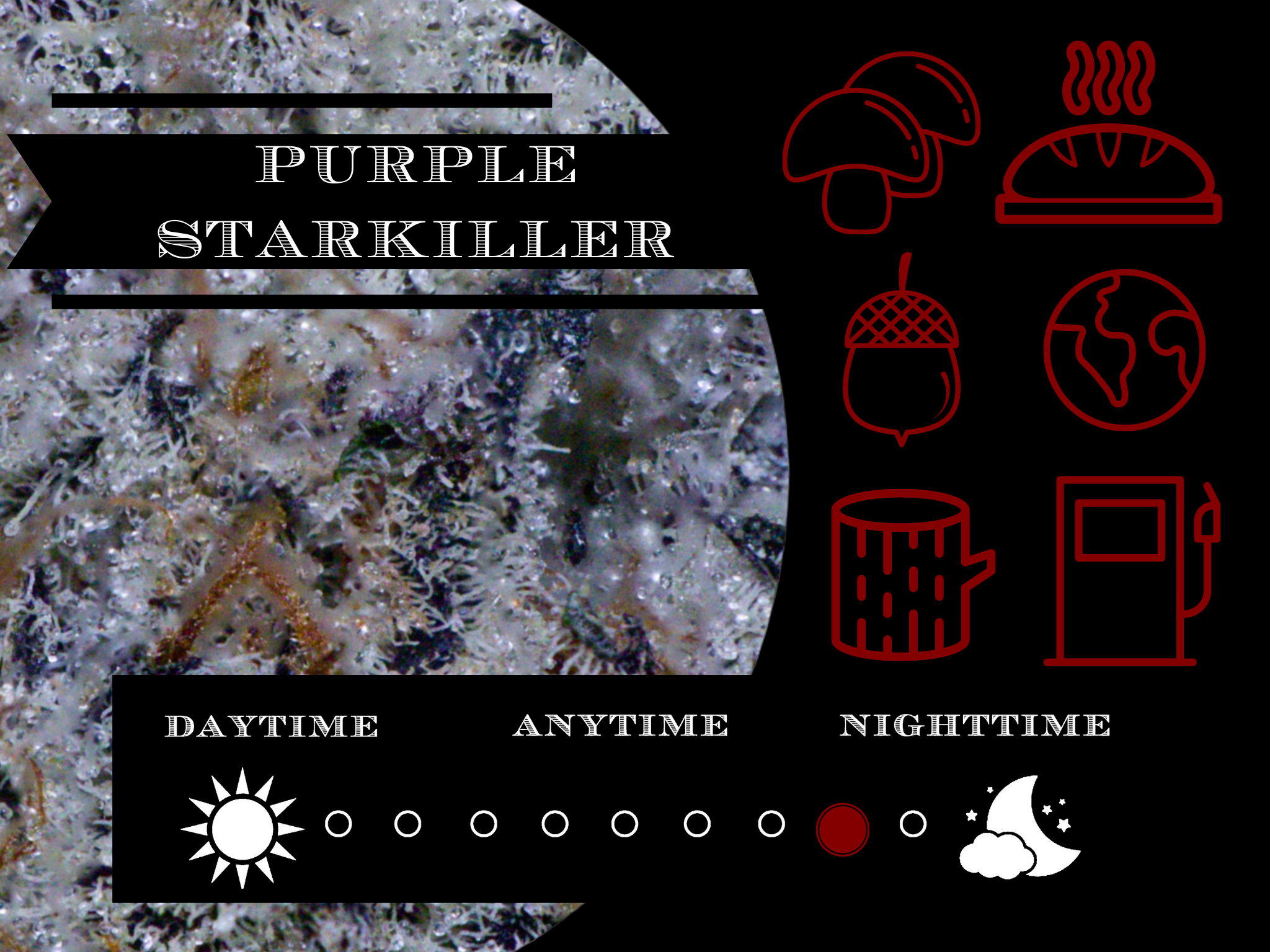 Purple Star Killer 27.1% view 2