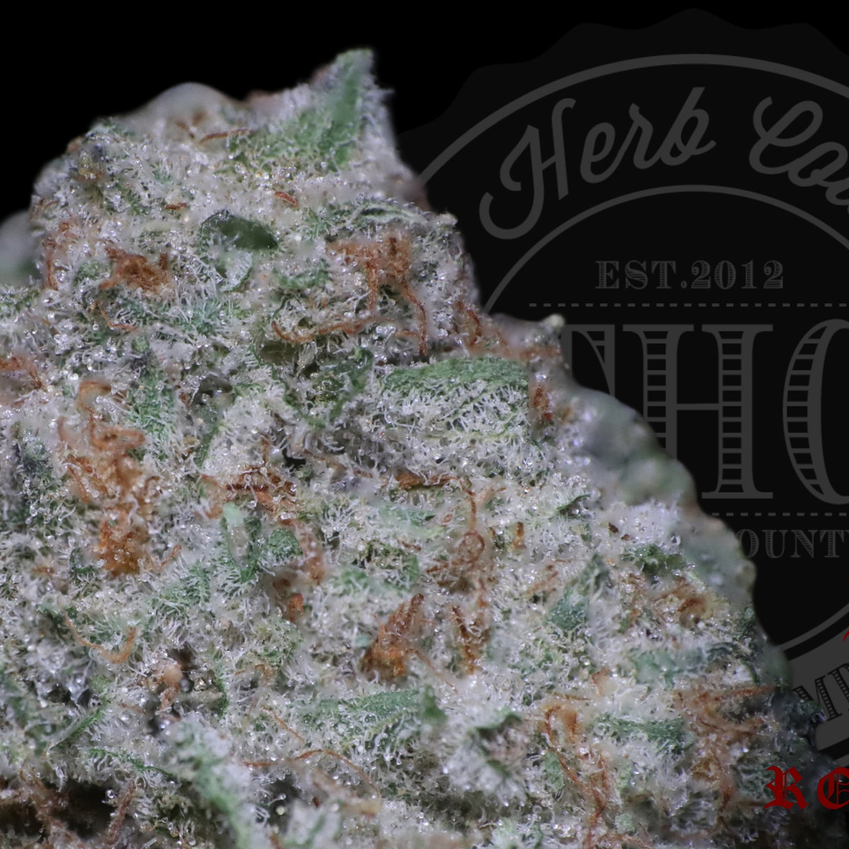 Bananalope 28.2%