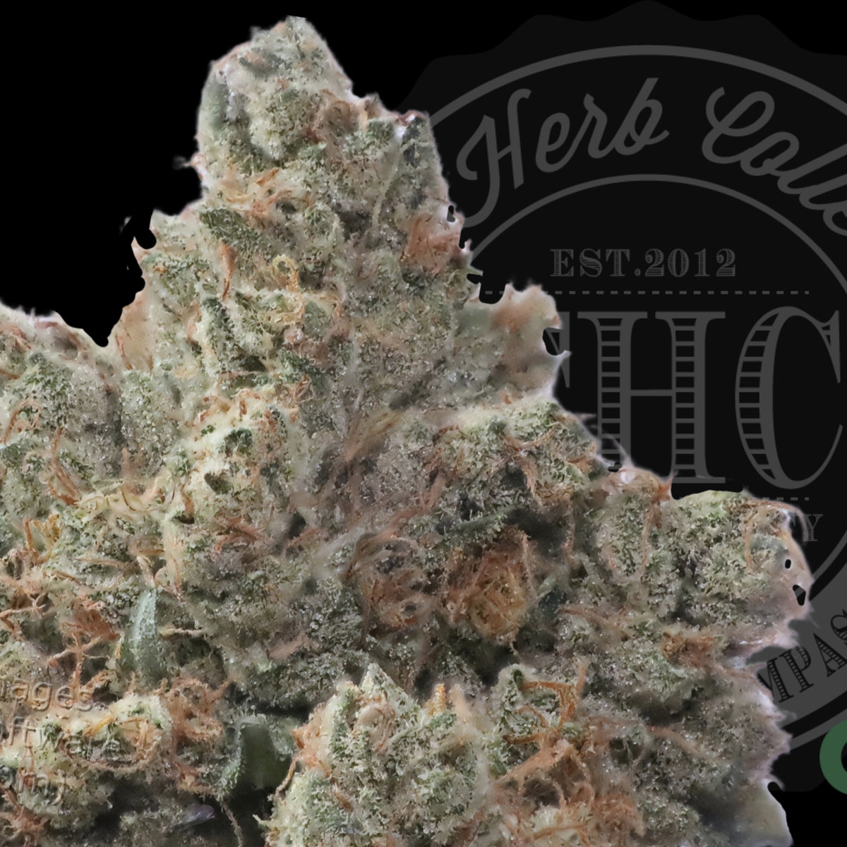 Blue Flame OG 34.8%