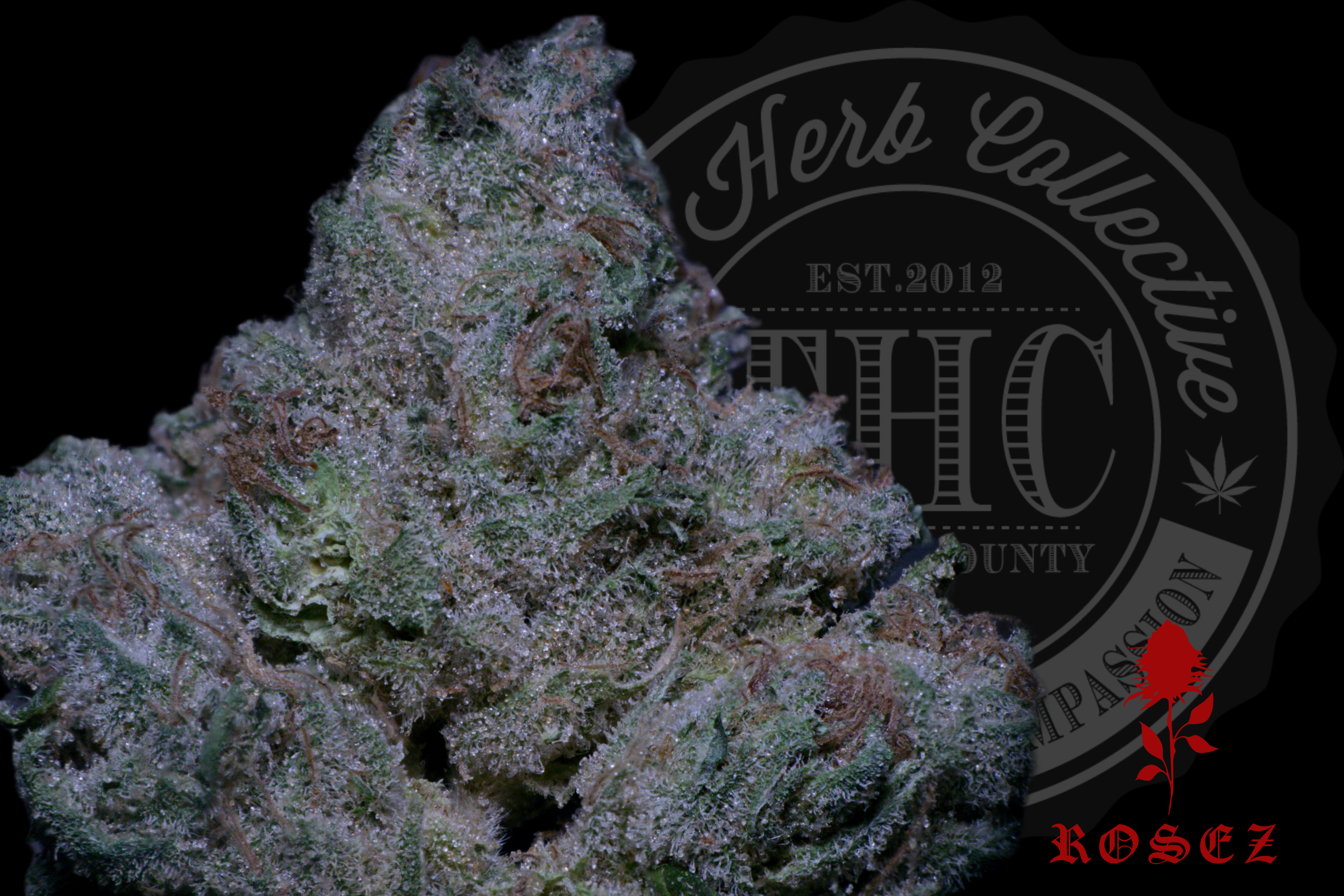 Herojuana Jack #33 31.6%