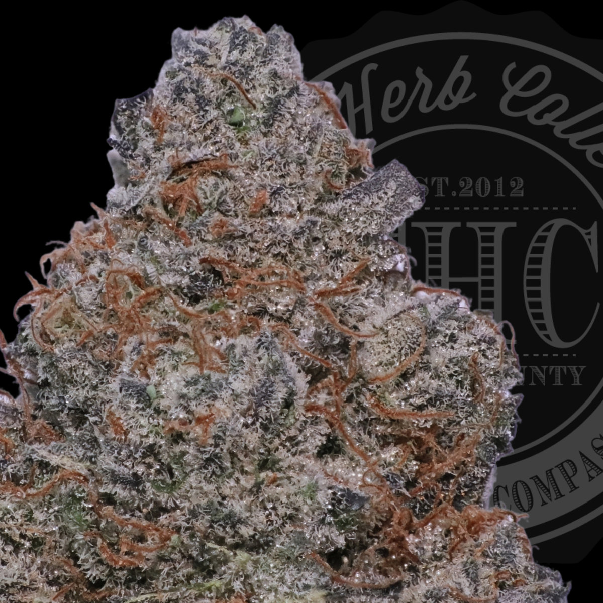 Turbo Breath 35.8%