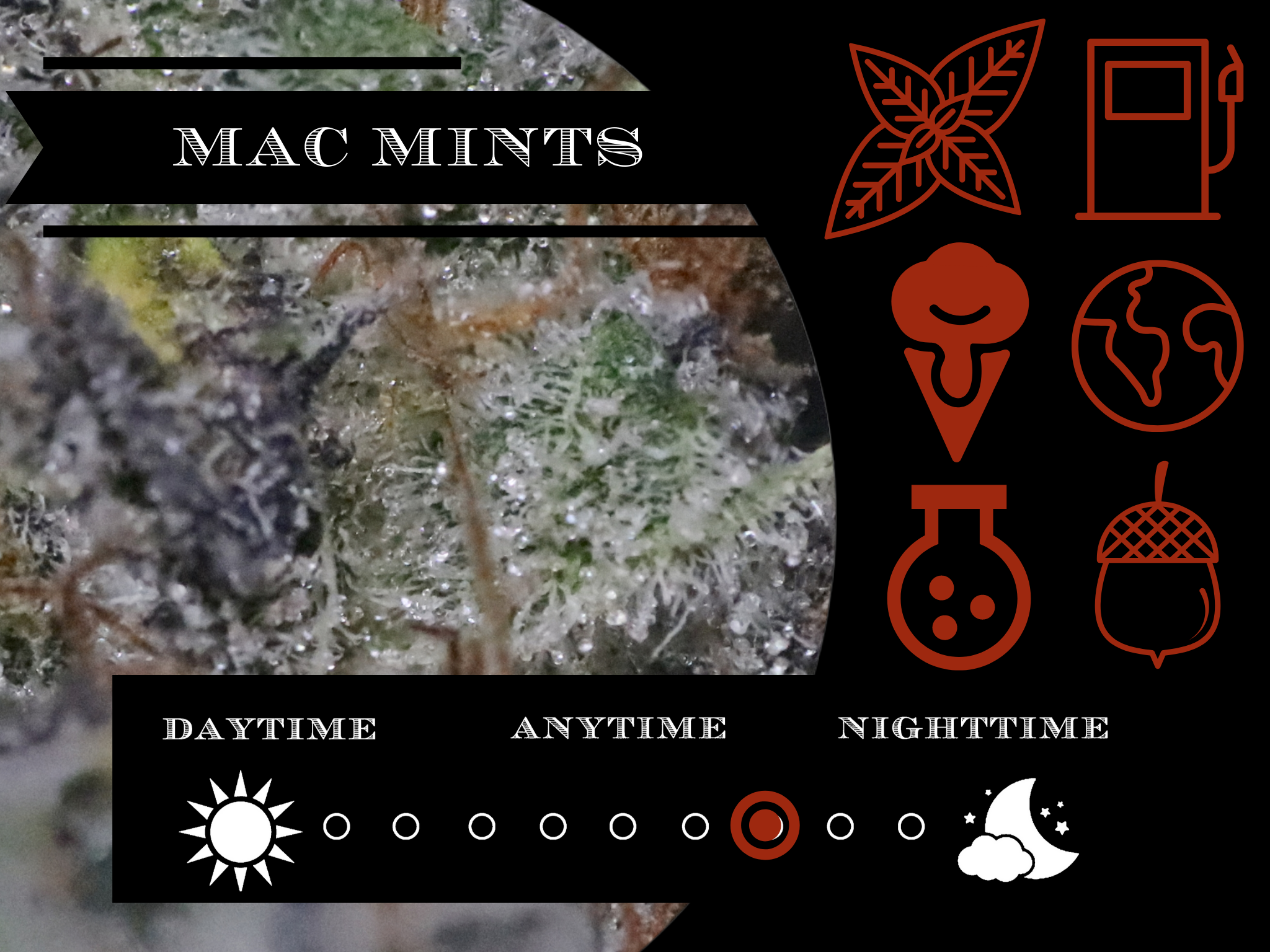 Mac Mints 28.2% view 2