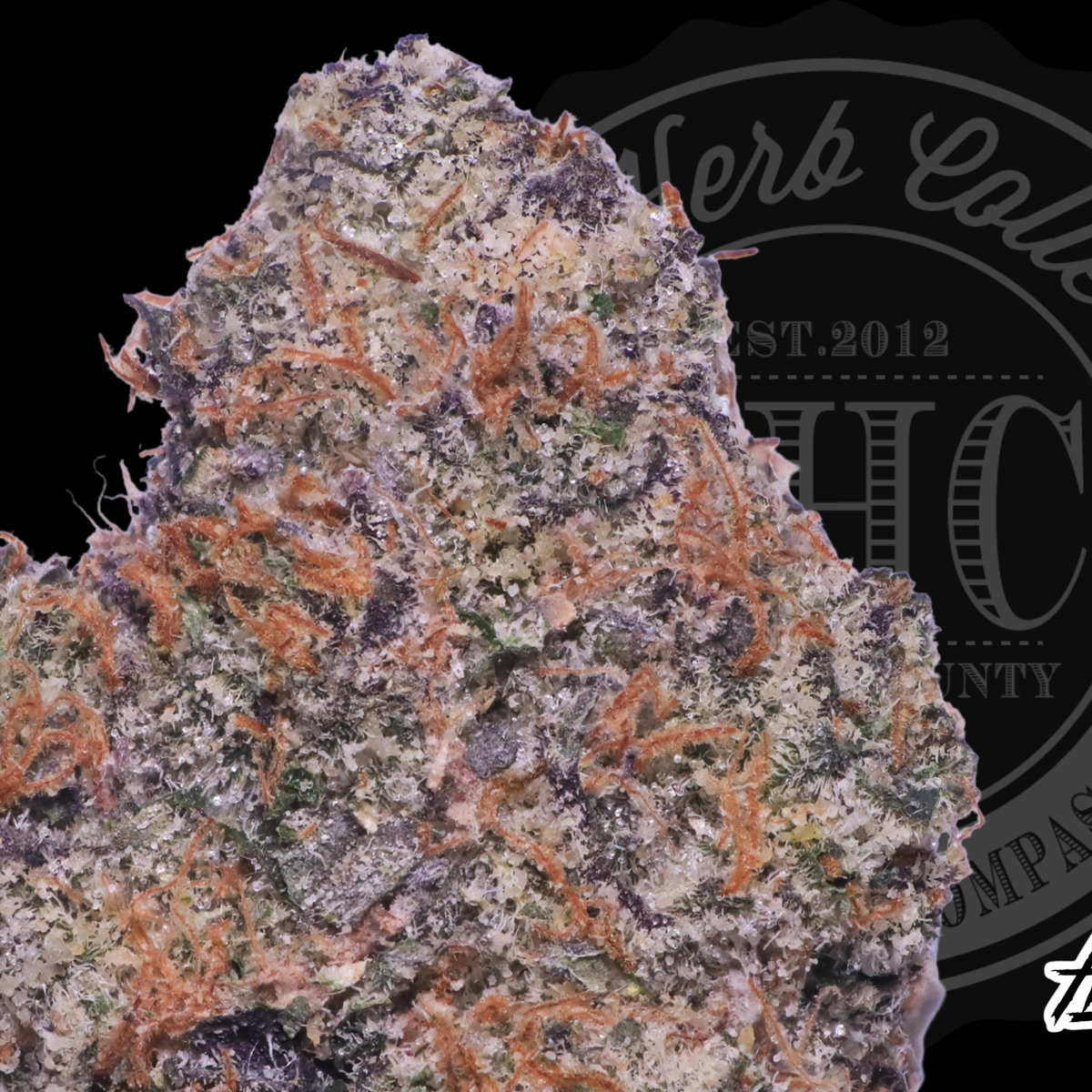 Brainwash 30.2%