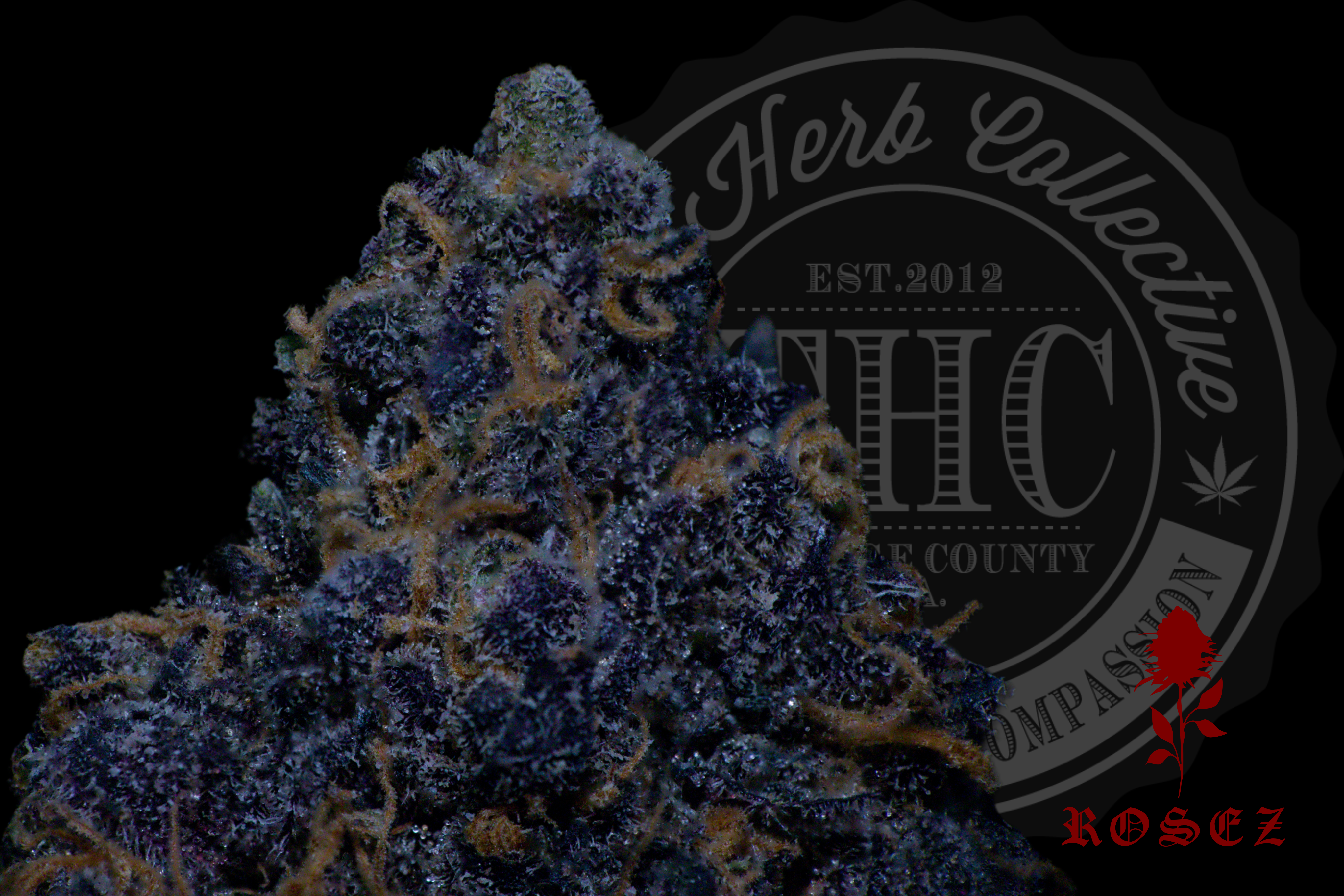 AYHUASCA PURPLE 26.0% | CONNOISSEUR | ROSEZ CO.