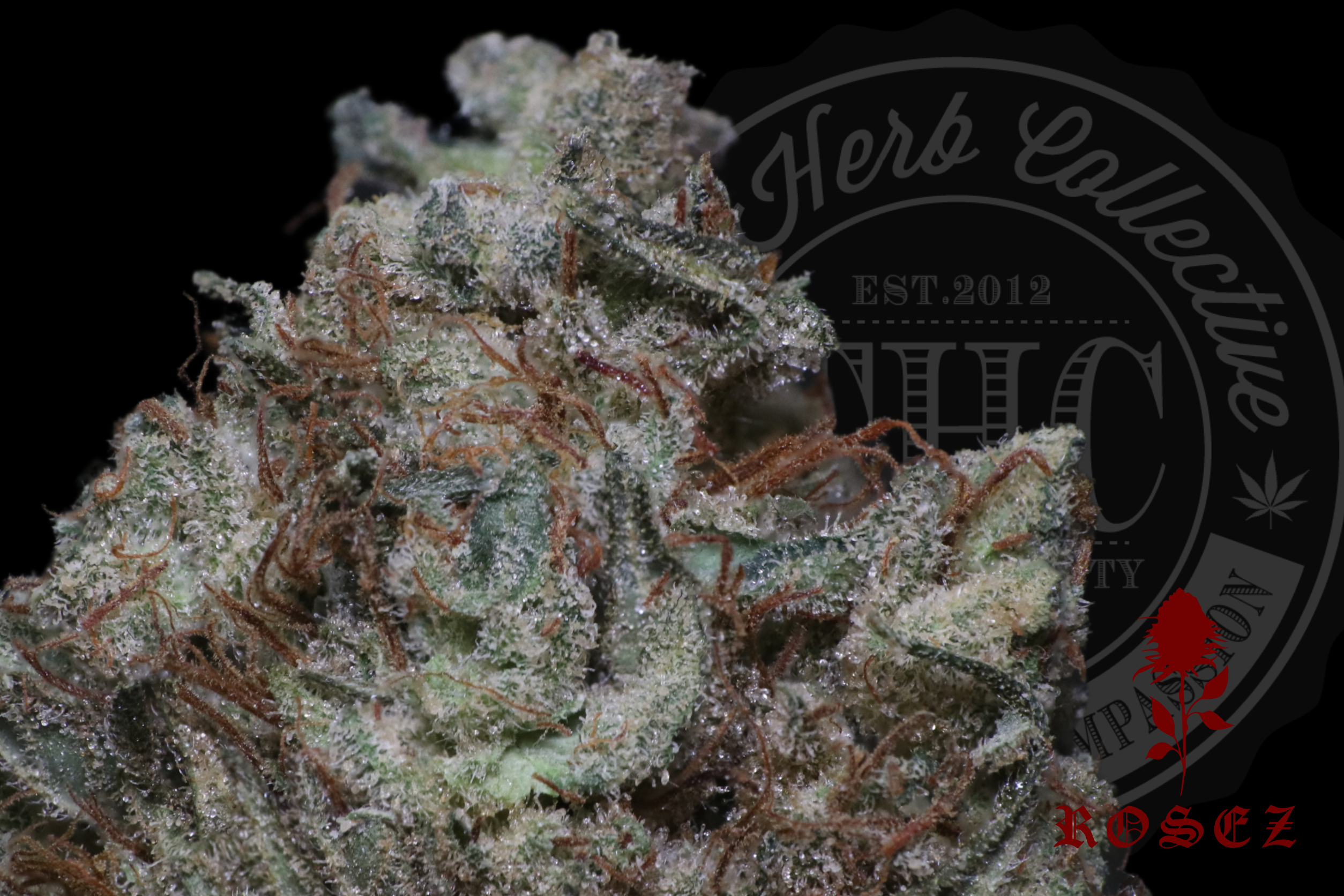 Lemontopia Haze 27.8 %