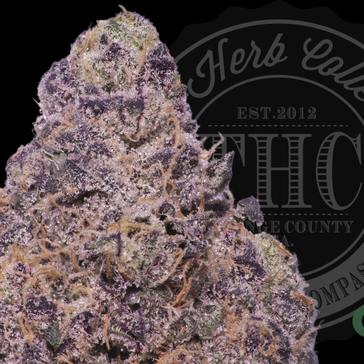 Thicc Mint Cookies 31.8%