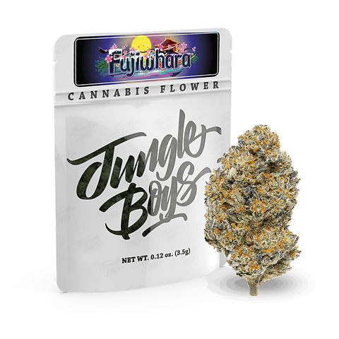 IFSIXWASNINE - god's of jungle アーカイブ期 IFSIXWASNINE - god's