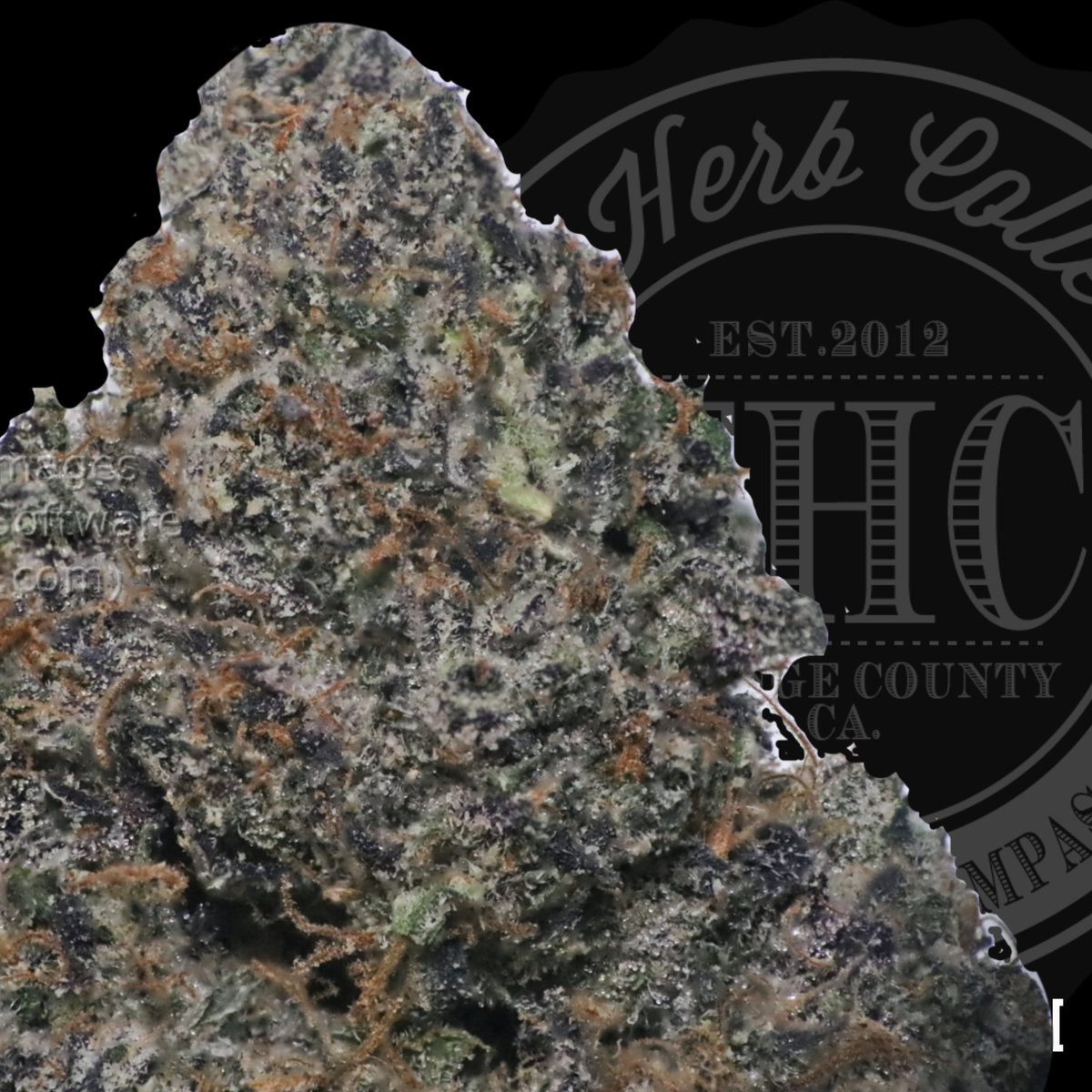 Sherbanger #22 35.3%