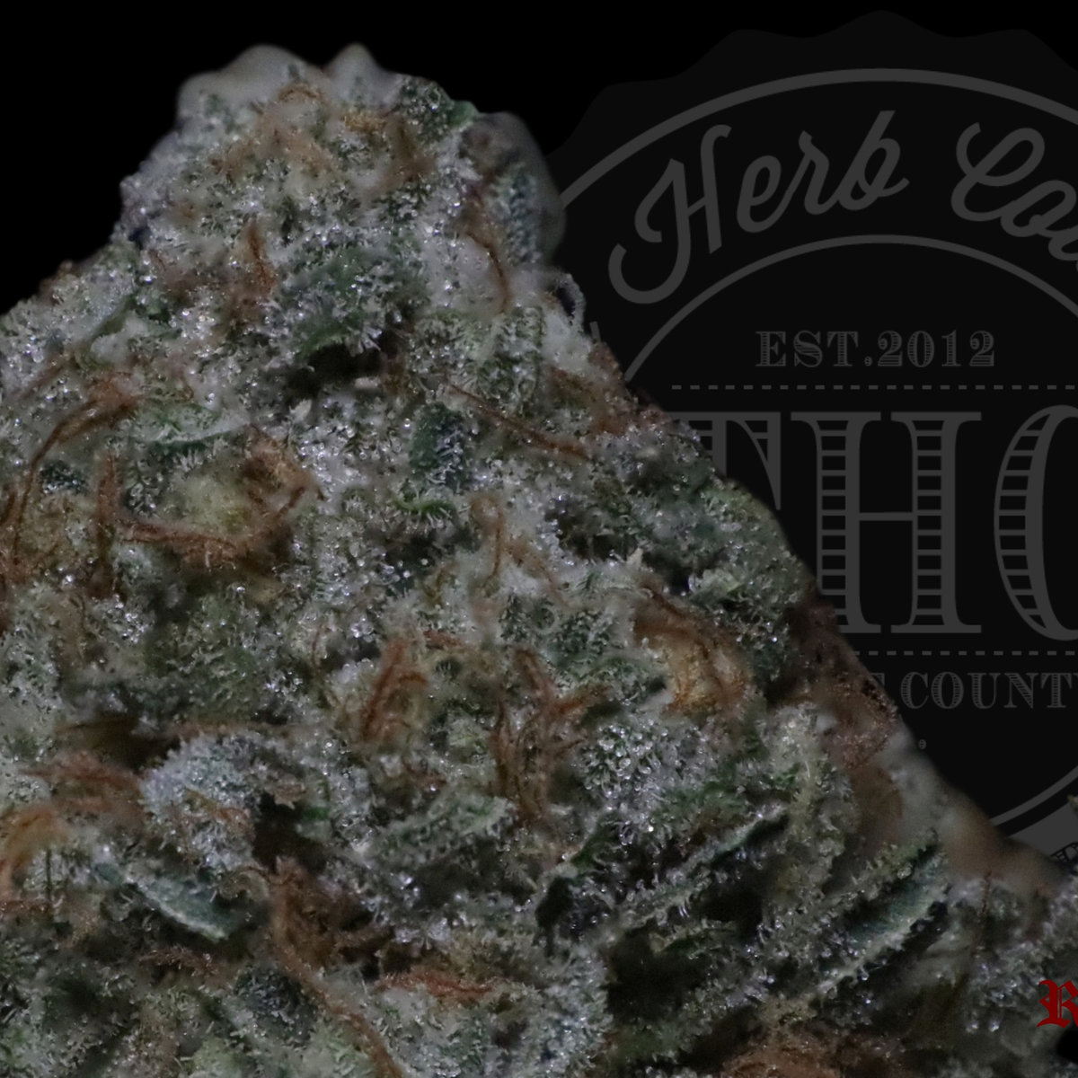 Missonary OG 27.6%