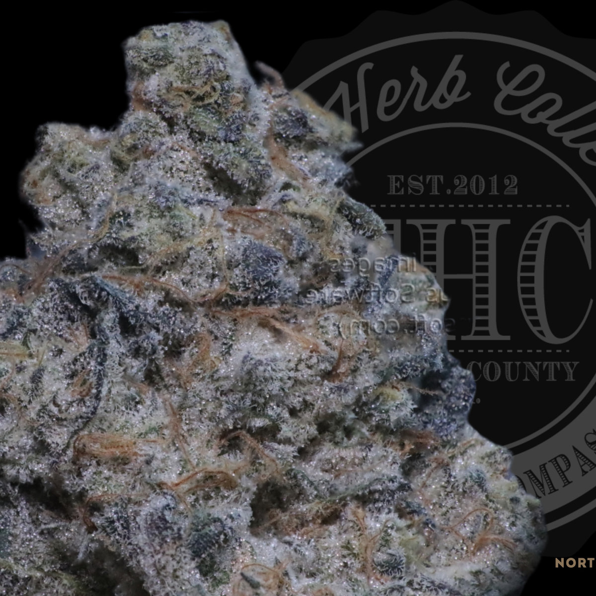 Amtheyst Kush 35.0%