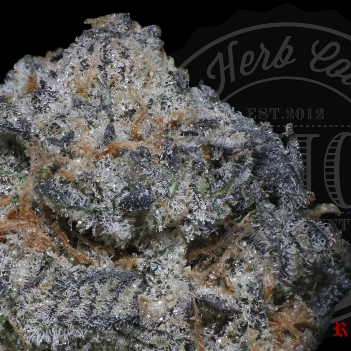 Dirty Sprite 27.2%