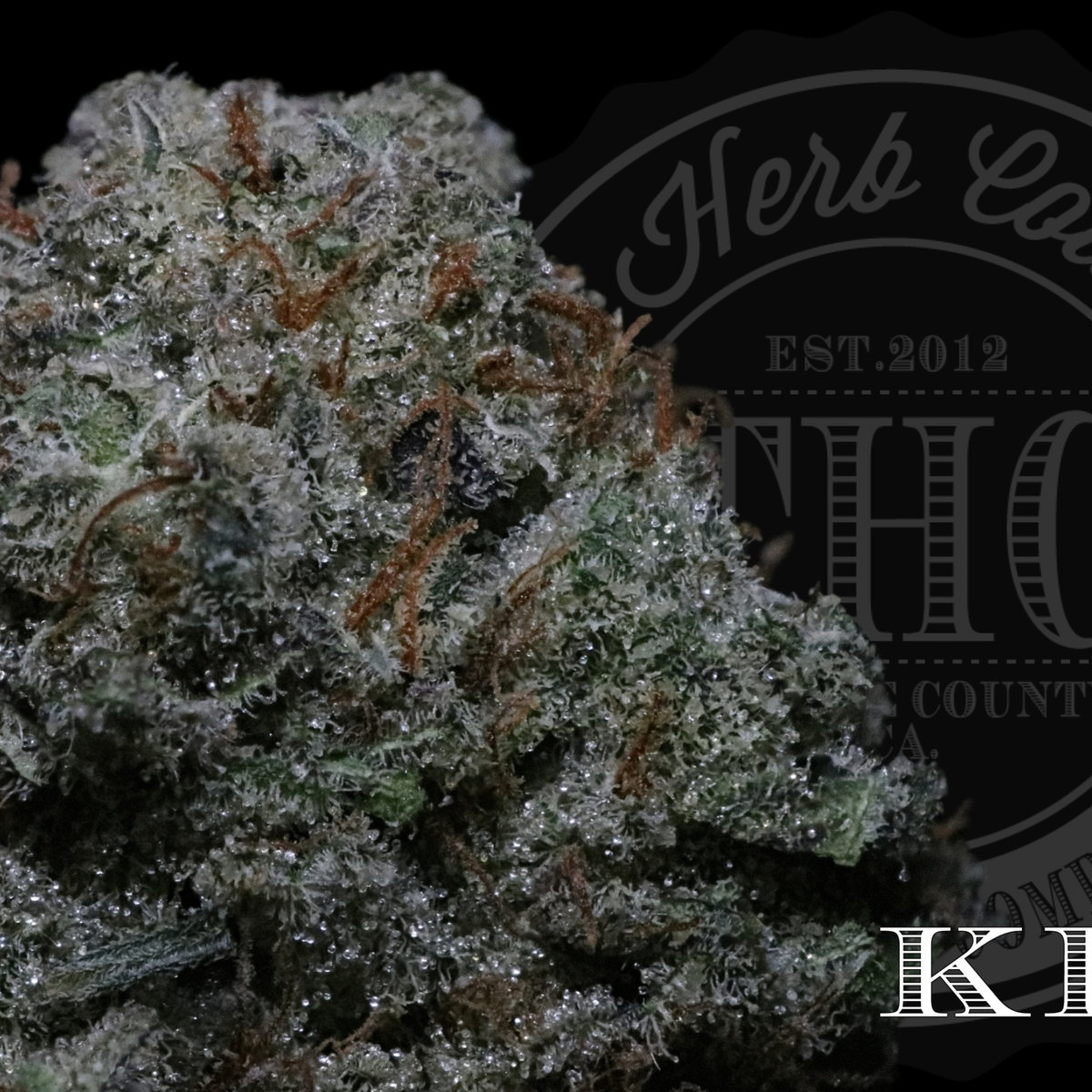 Bubblegum Kush
