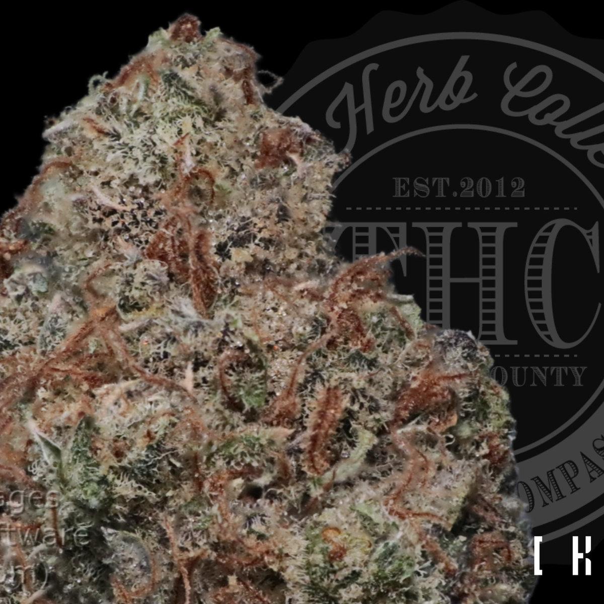 Ghost Train Haze 36.8%