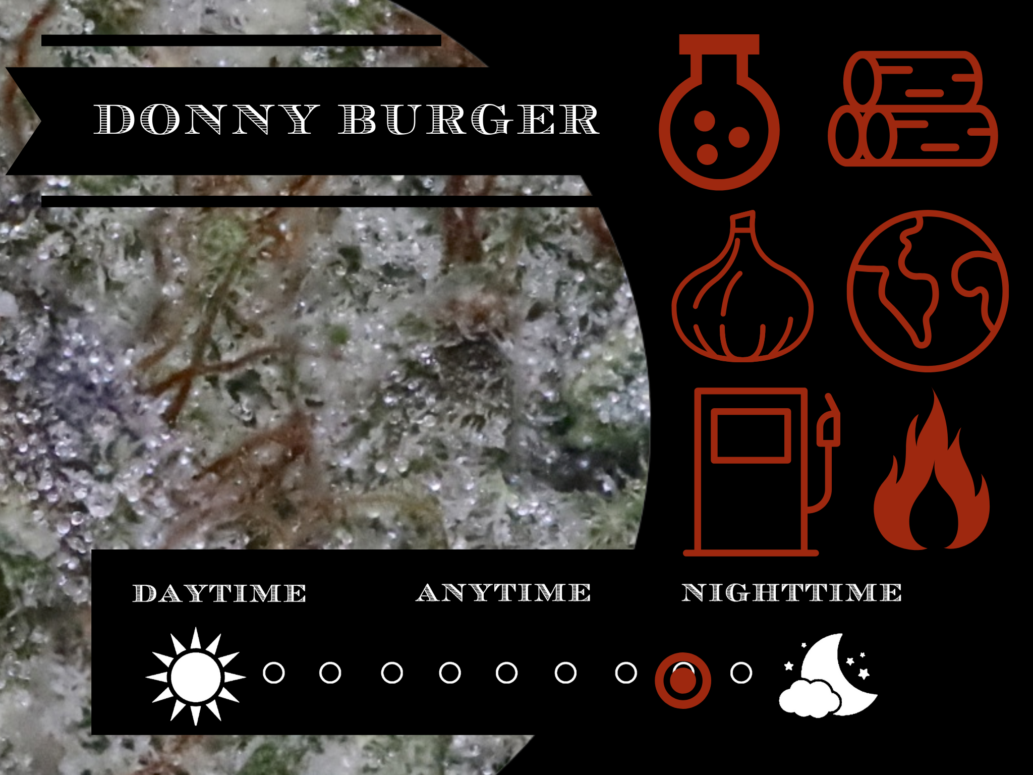 Donny Burger 27.8% view 2