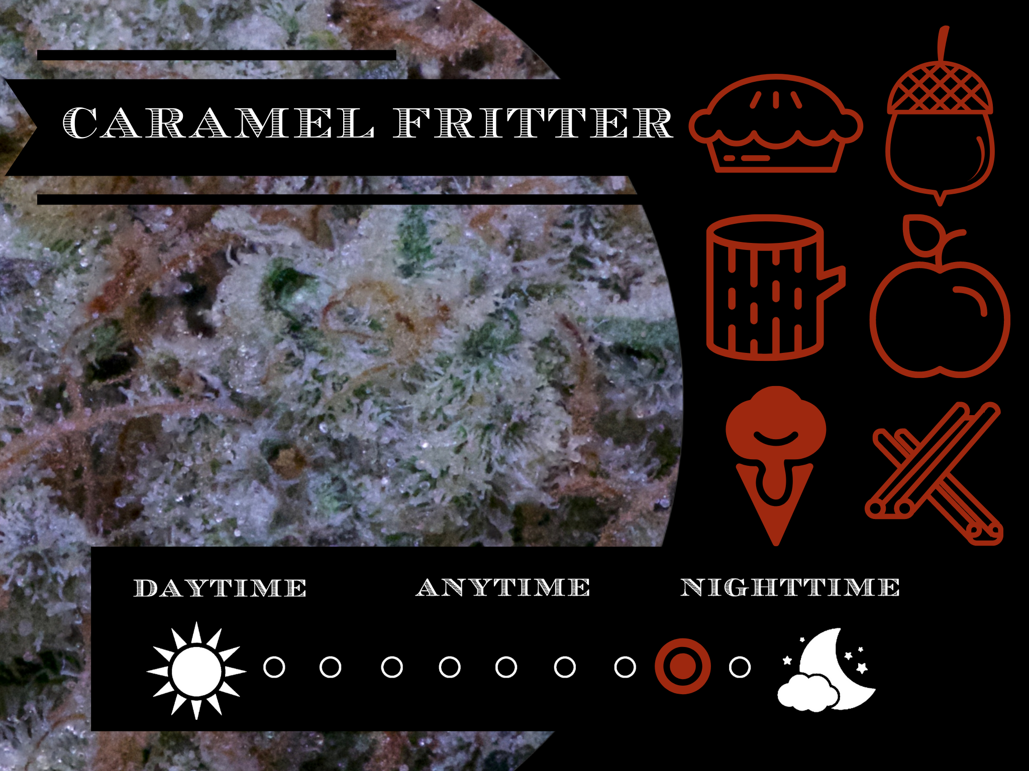 White Caramel Fritter 28.4% view 2