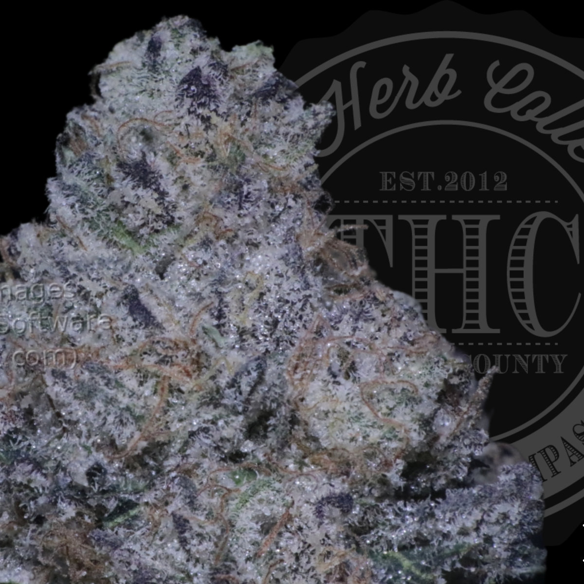 Confetti Cake 34.8%