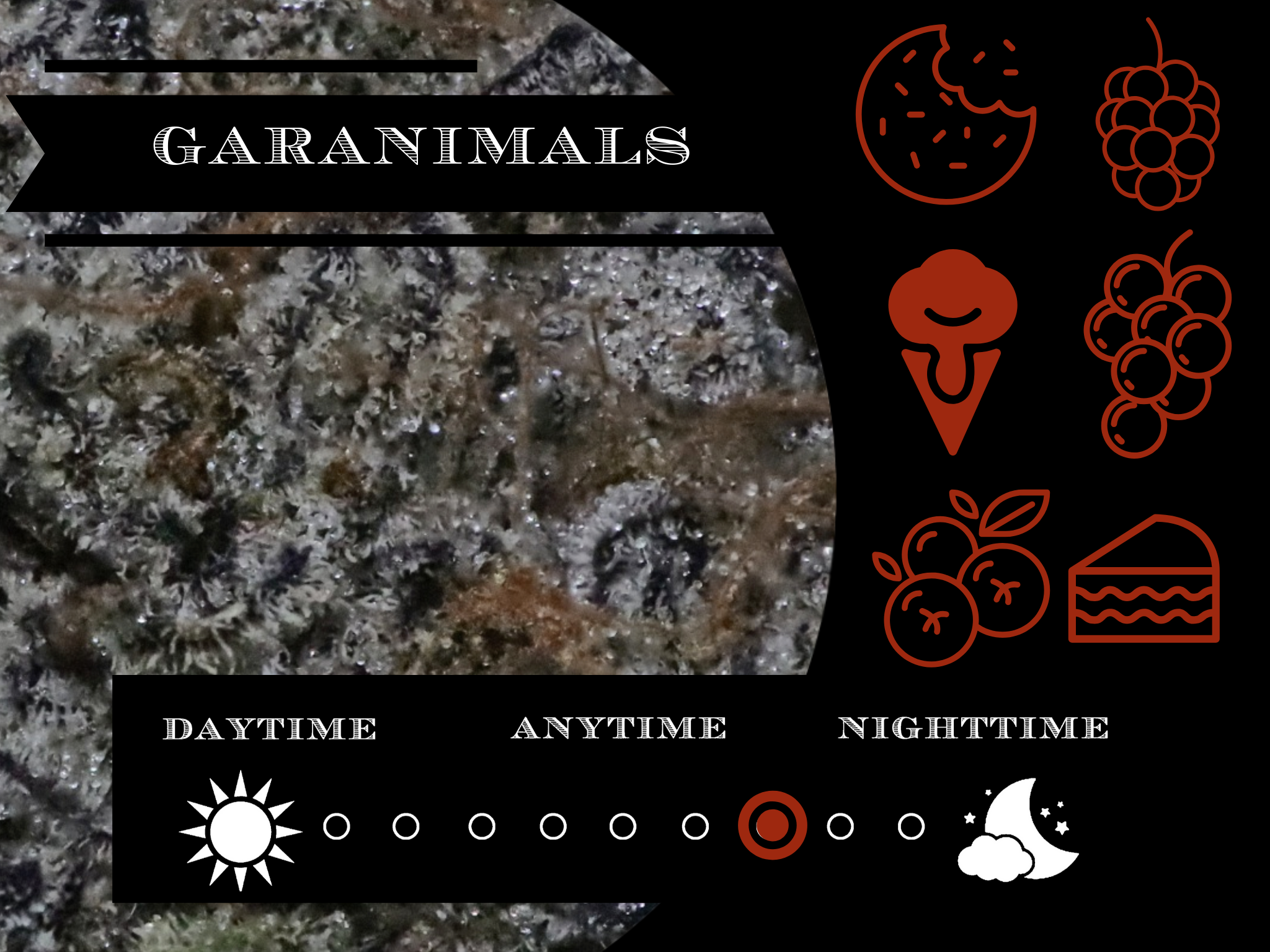 Garanimals 27.2% view 2