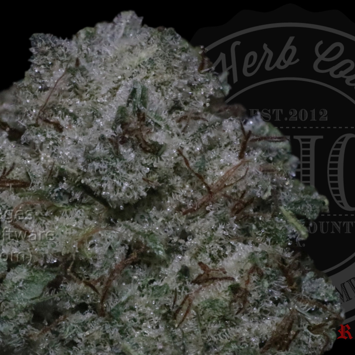 Candy Cake 28.2%