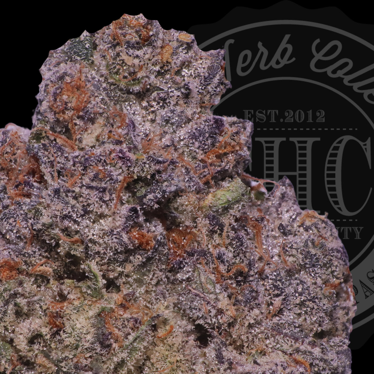 Strawberry Fritter 32.8%