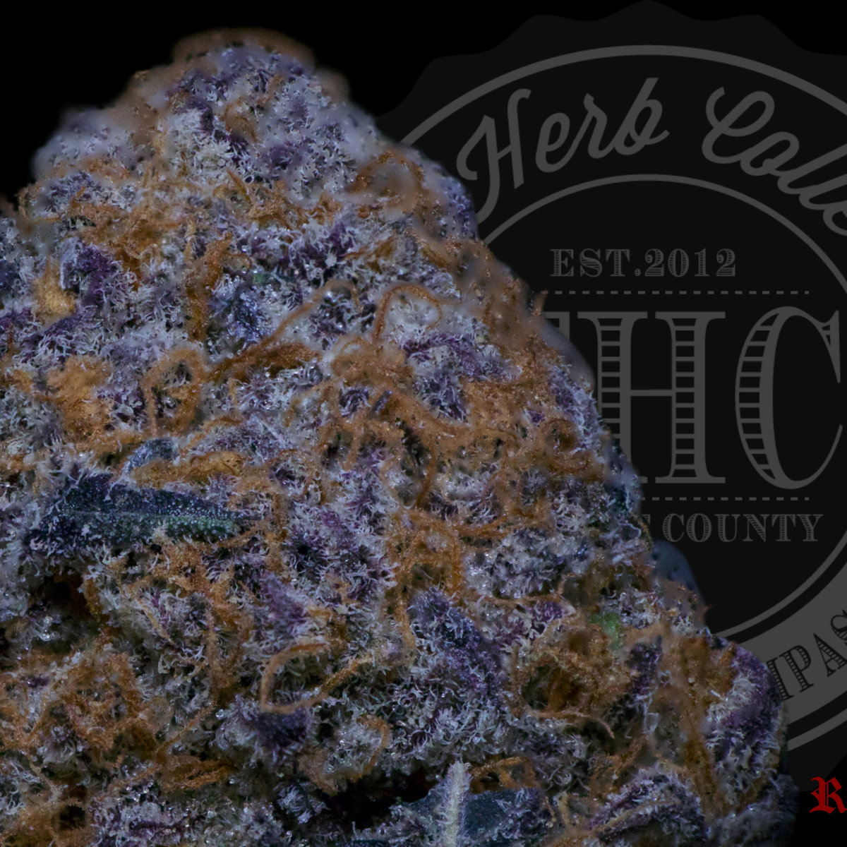 Lsd Punch 27.2%