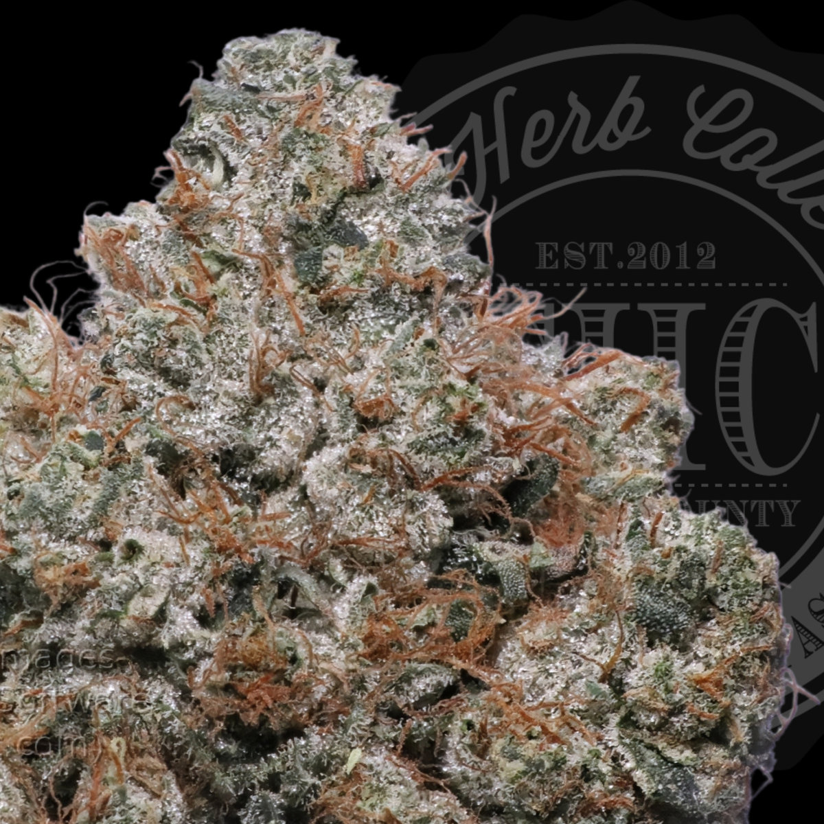 Kakarot OG 34.8%