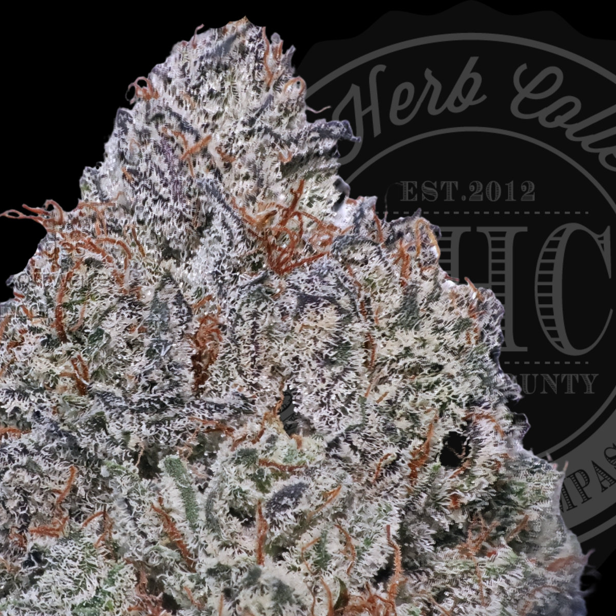 Platinum Fire Cake 36.8%
