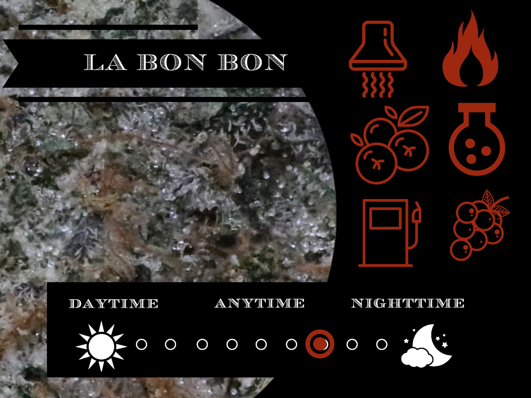 LA Bon Bons 26.8 % view 2