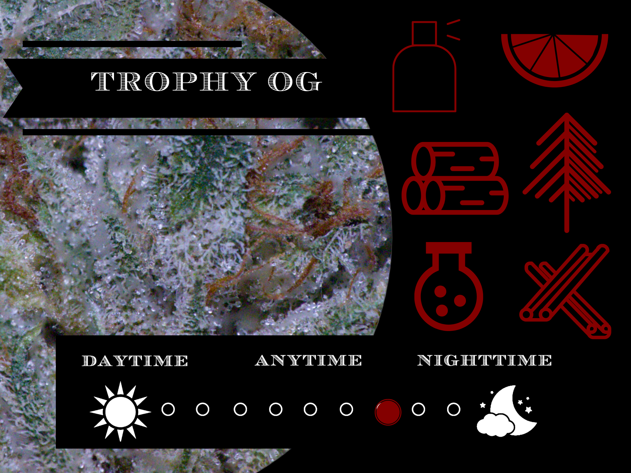 Trophy OG 26.2% view 2