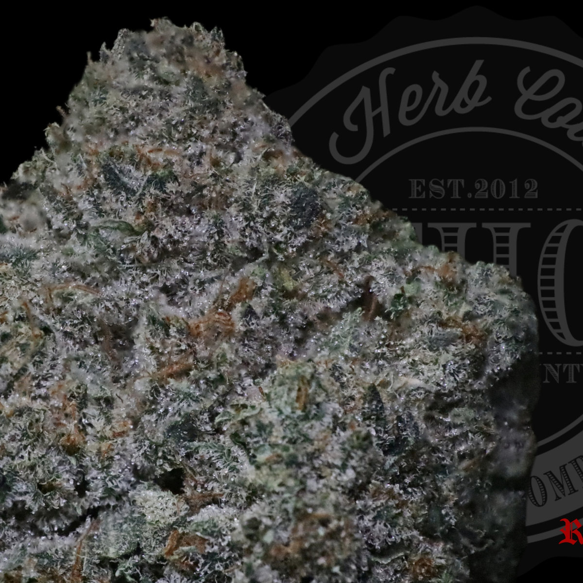 818 Deadhead 28.4%