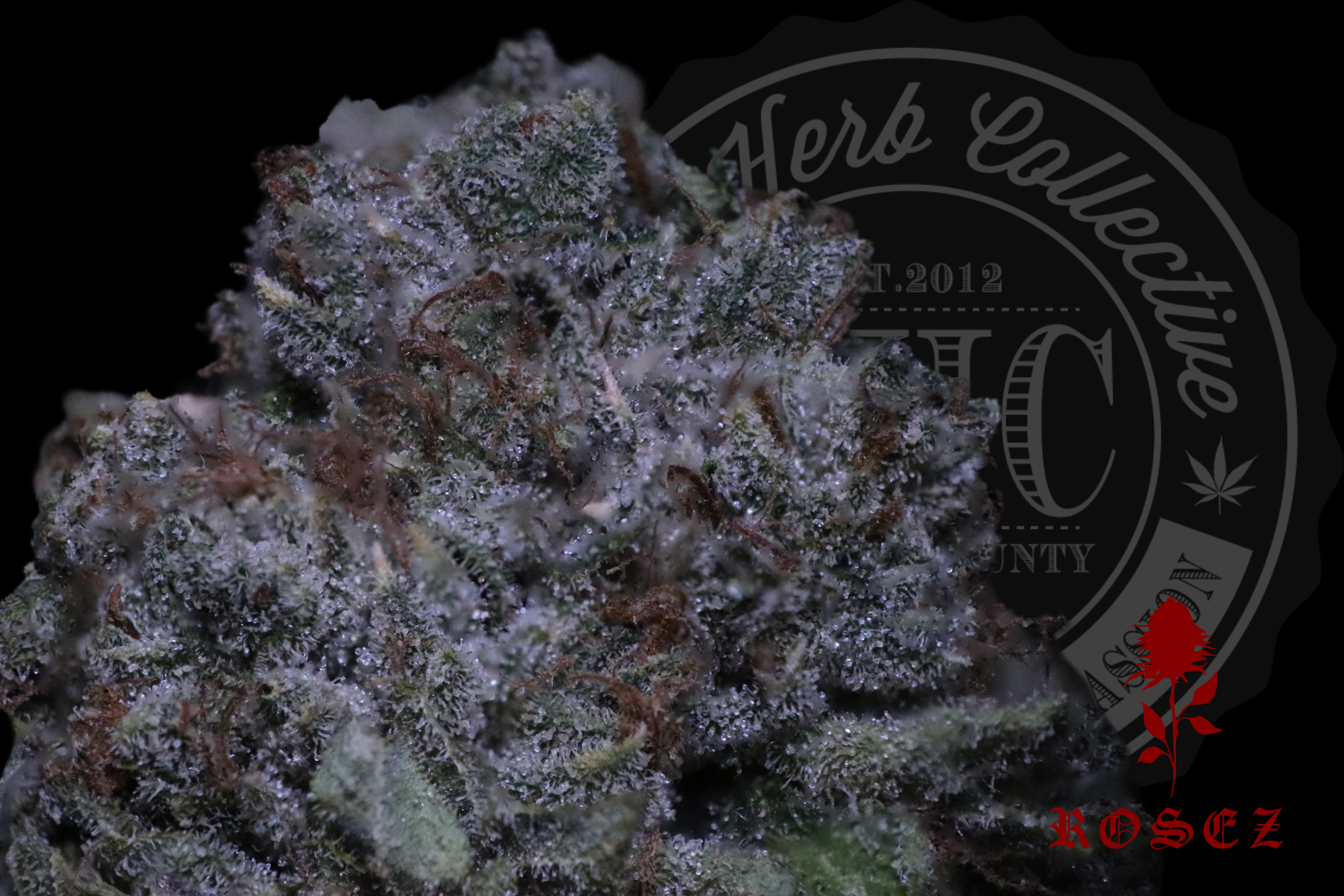 Mega Wellness OG