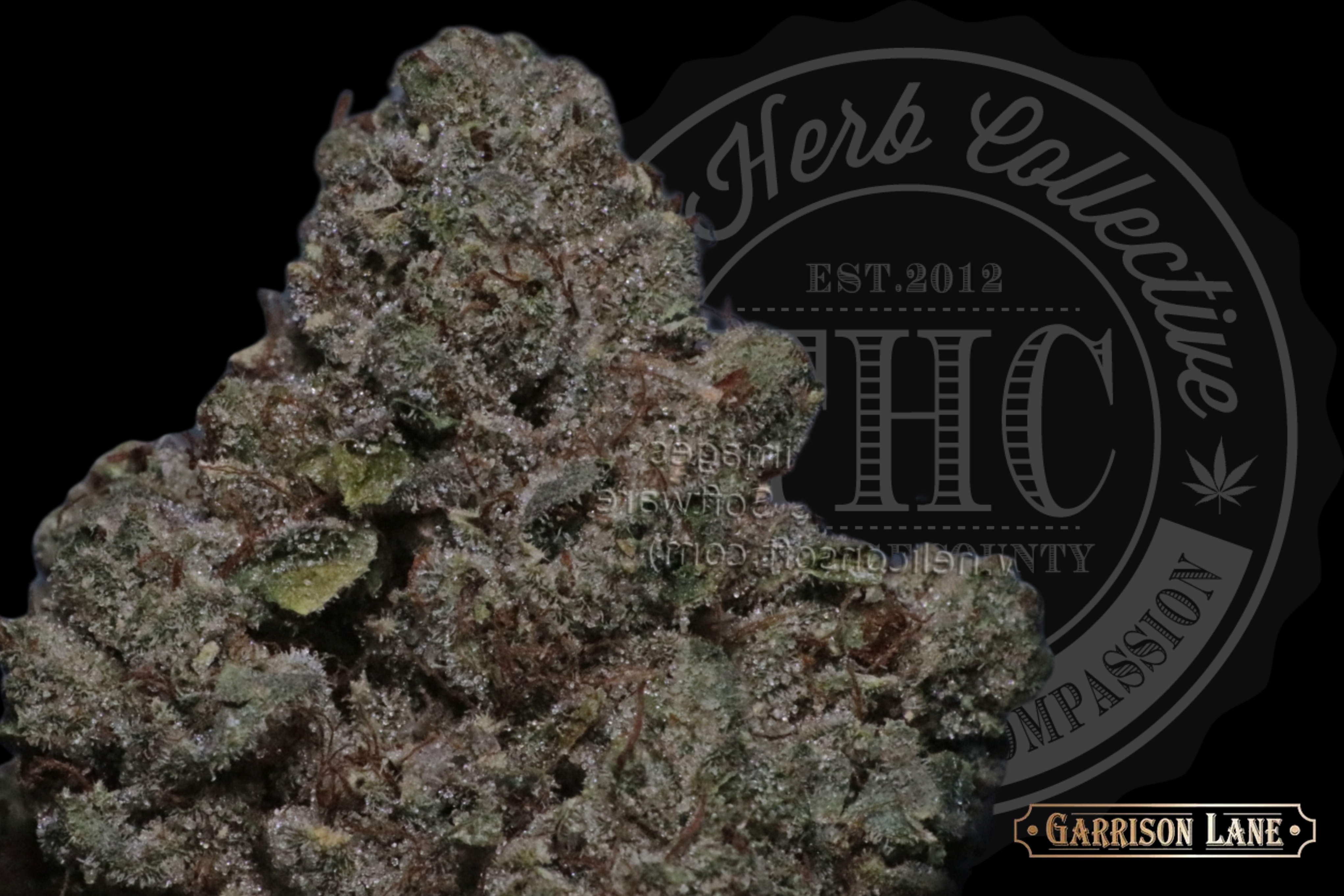 Billy Kimber OG 32.2%