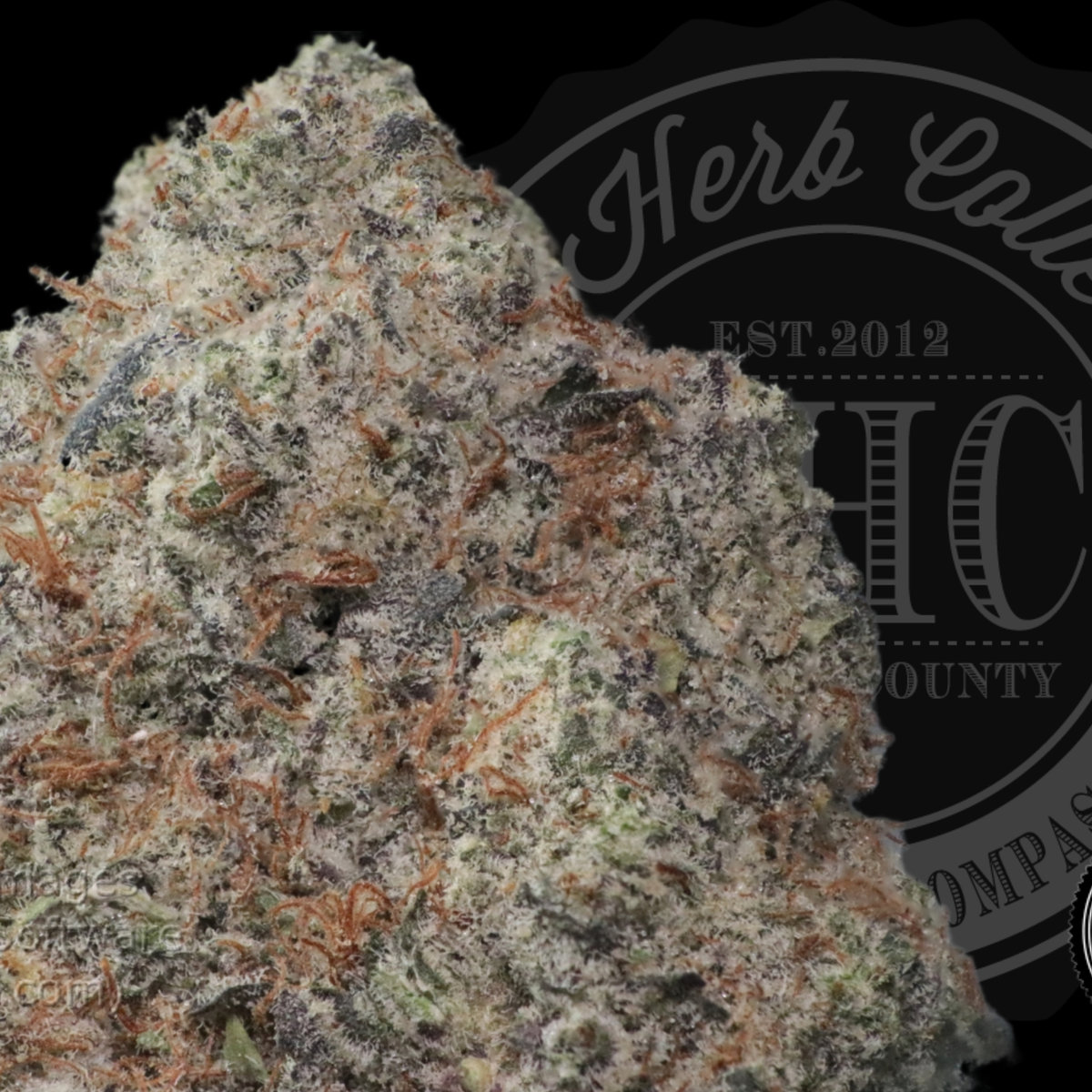 Skyittlez 34.6%