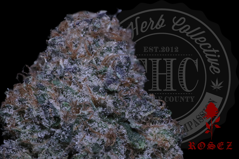 ATOMIC ORANGE BANG 28.2% | HEADSTASH | ROSEZ CO.